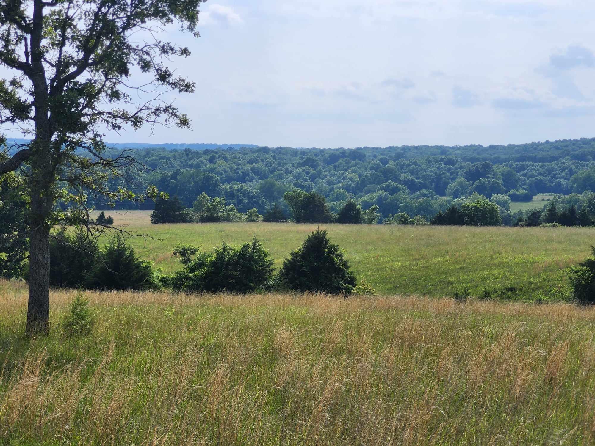 6601 County Line Road Property Photo 6