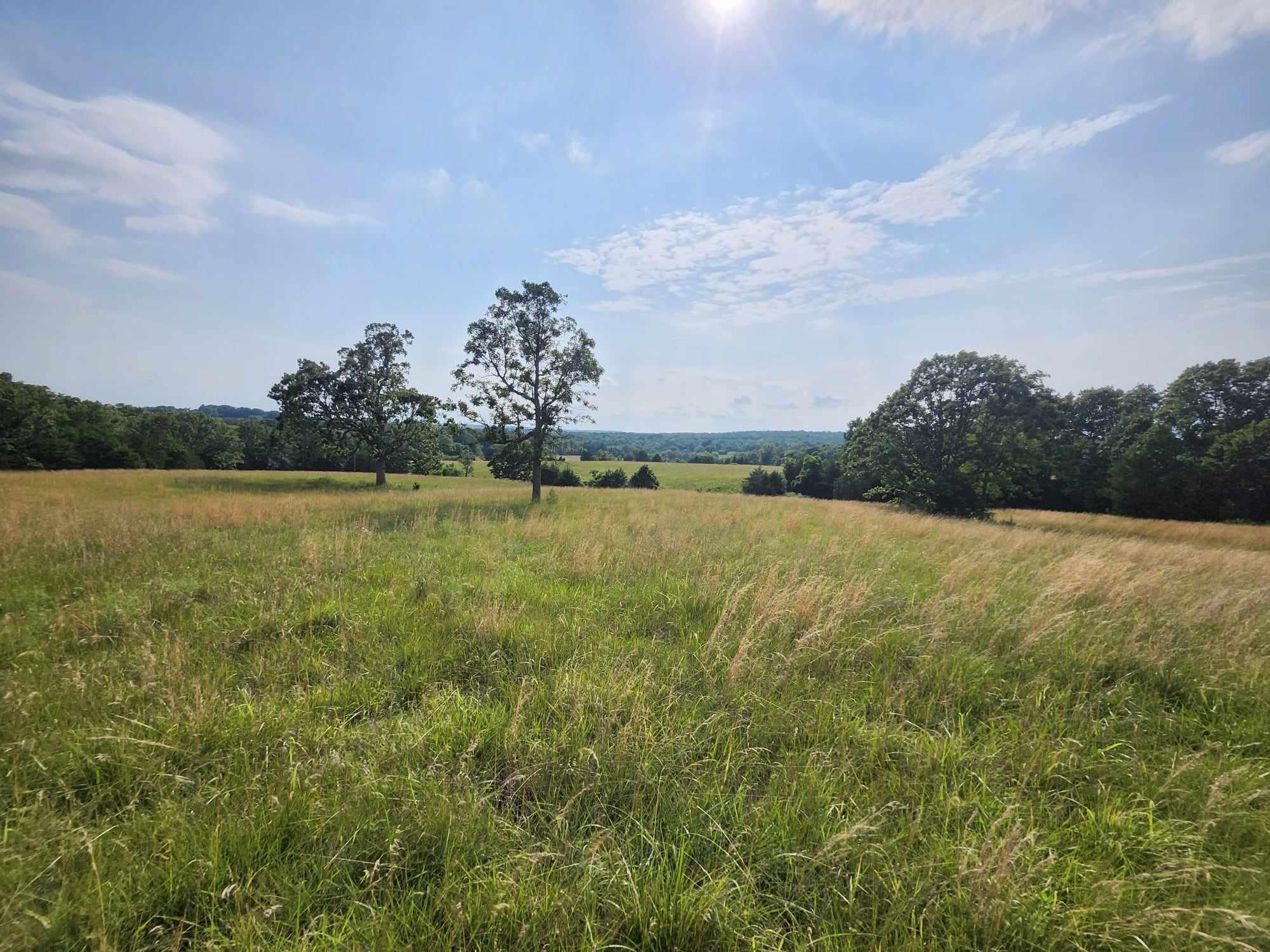 6601 County Line Road Property Photo 10