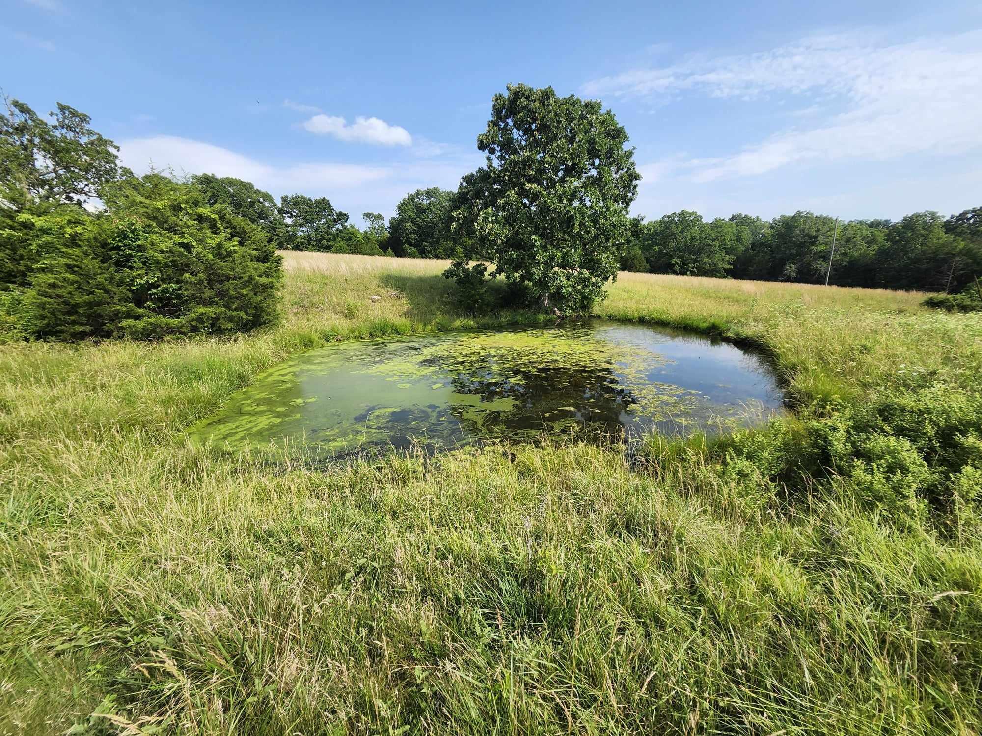 6601 County Line Road Property Photo 15