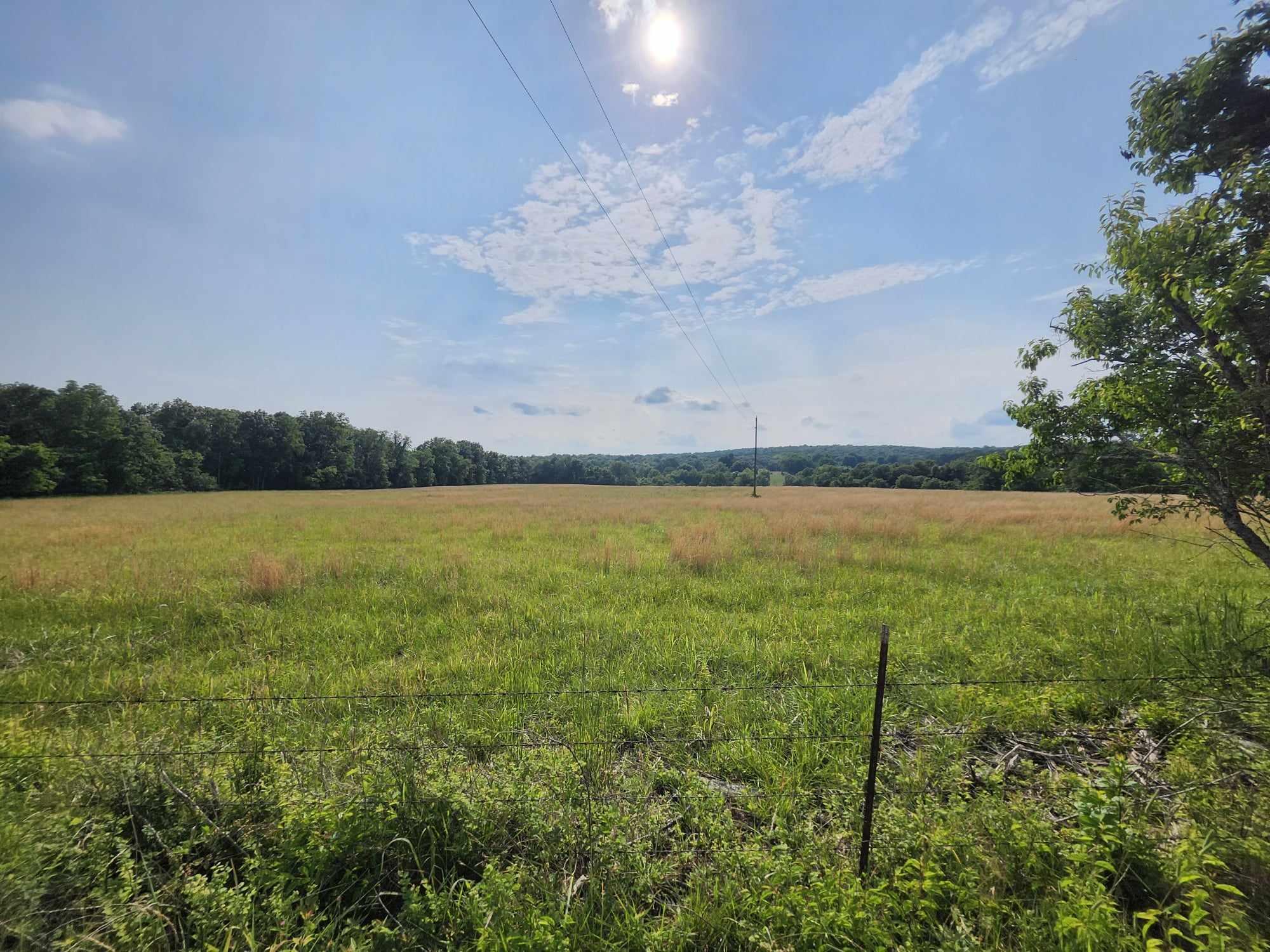 6601 County Line Road Property Photo 16