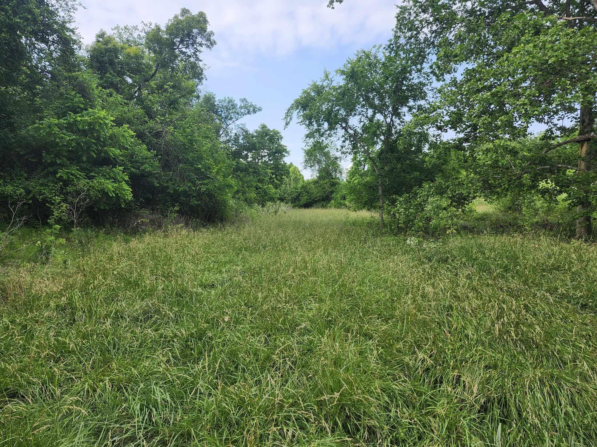 6601 County Line Road Property Photo 25