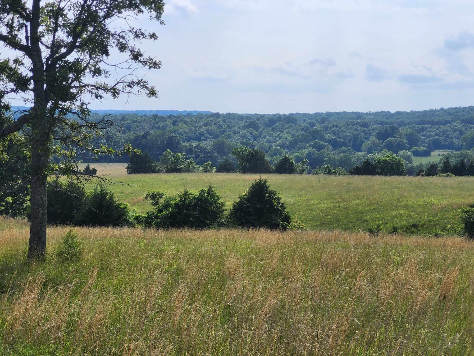 6601 County Line Road Property Photo 27