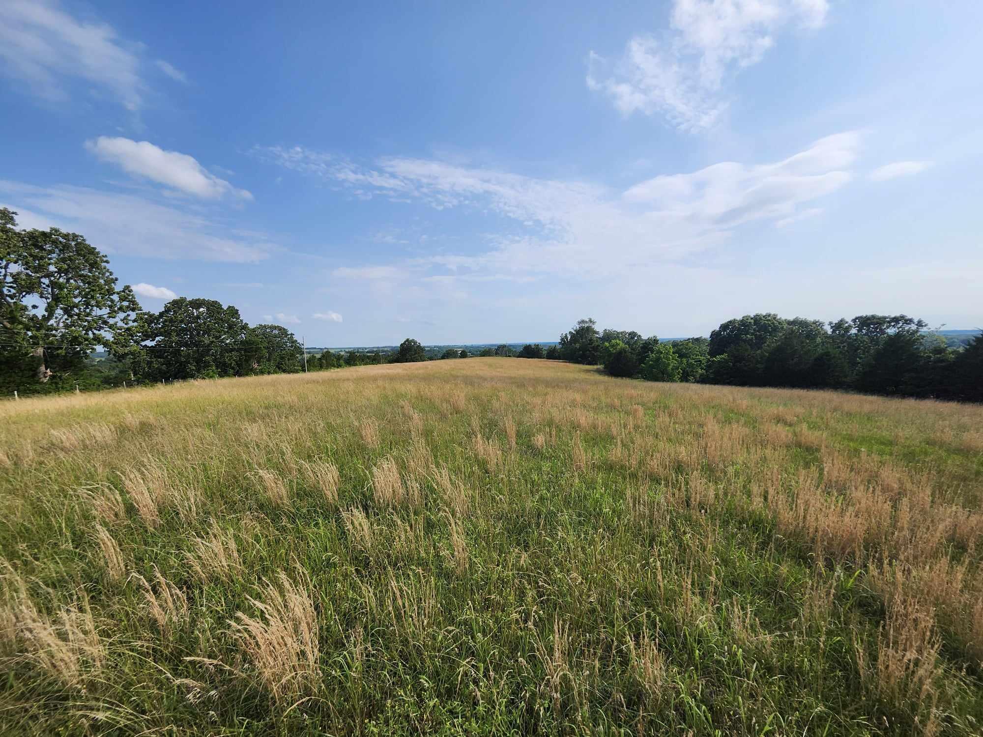 6601 County Line Road Property Photo 28