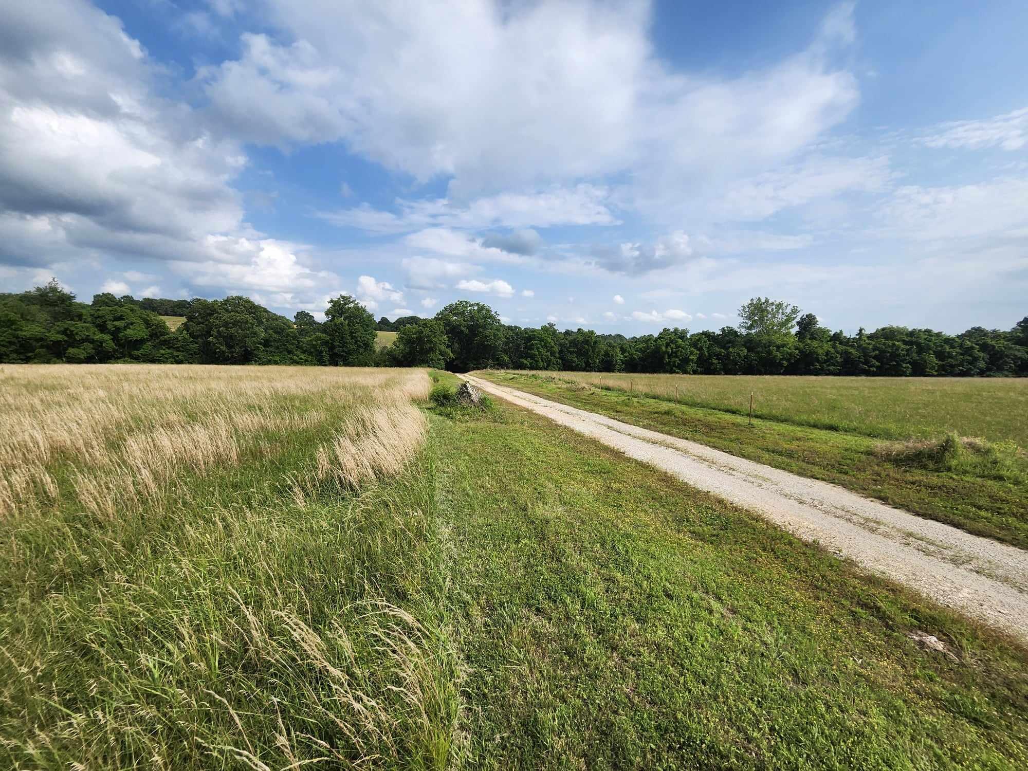 6601 County Line Road Property Photo 33