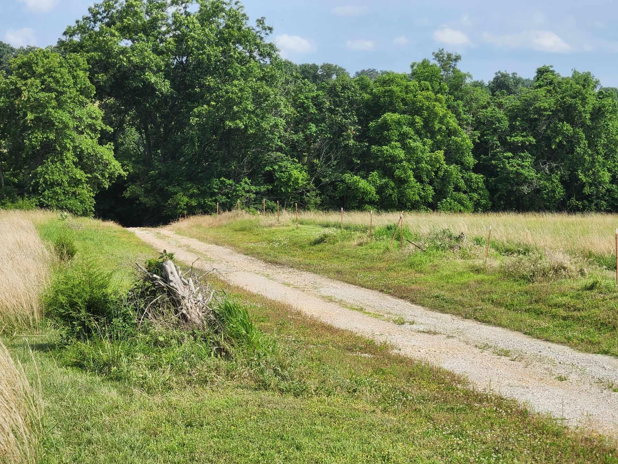 6601 County Line Road Property Photo 34