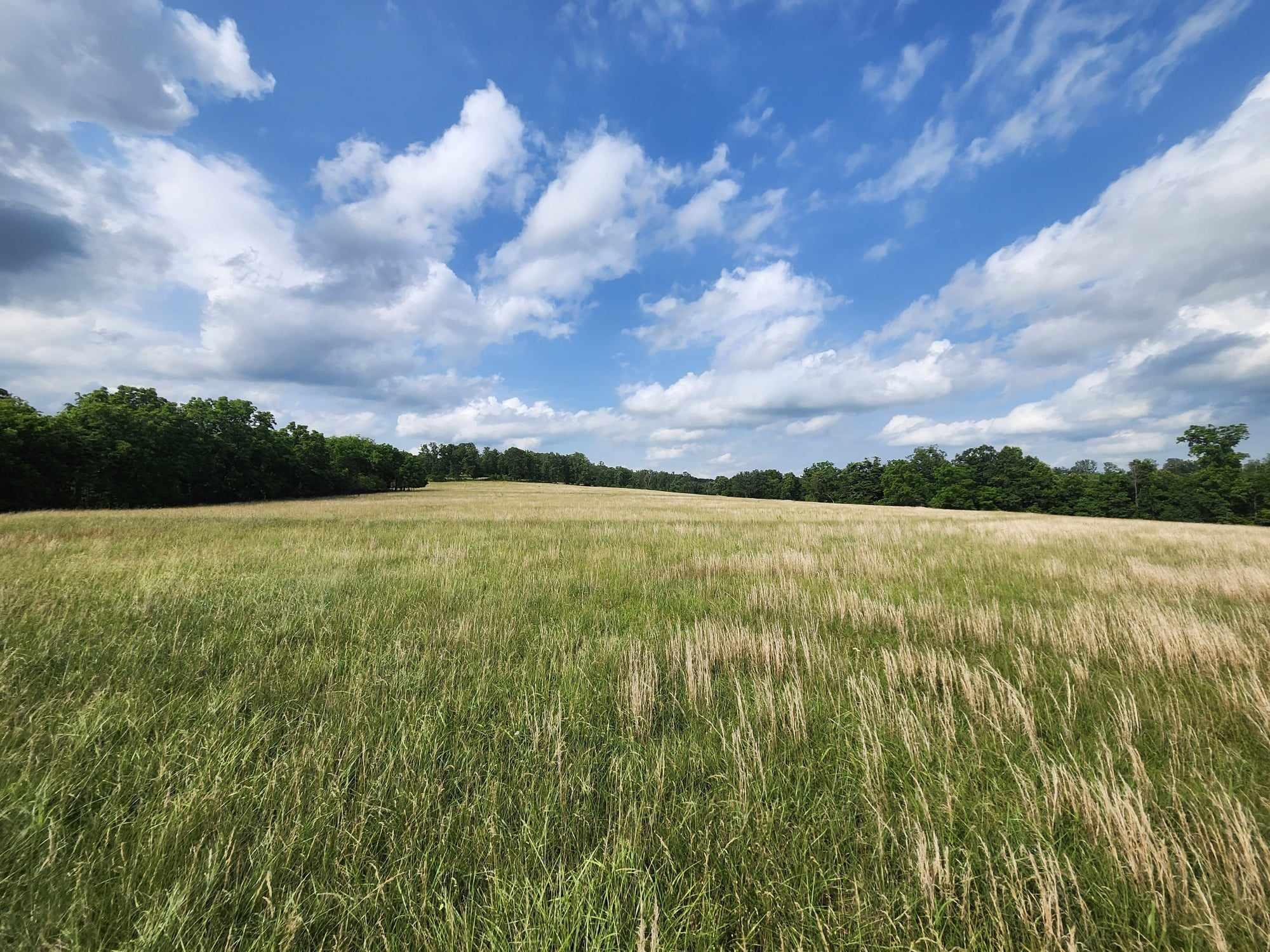 6601 County Line Road Property Photo 35