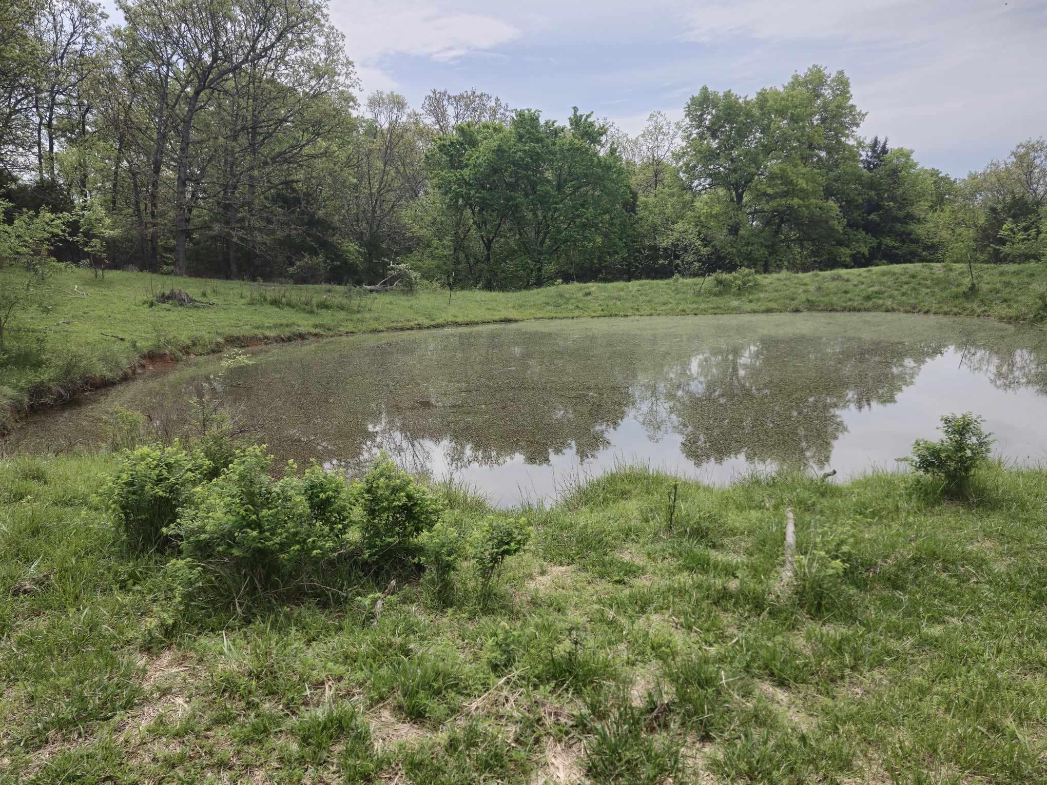 6601 County Line Road Property Photo 41