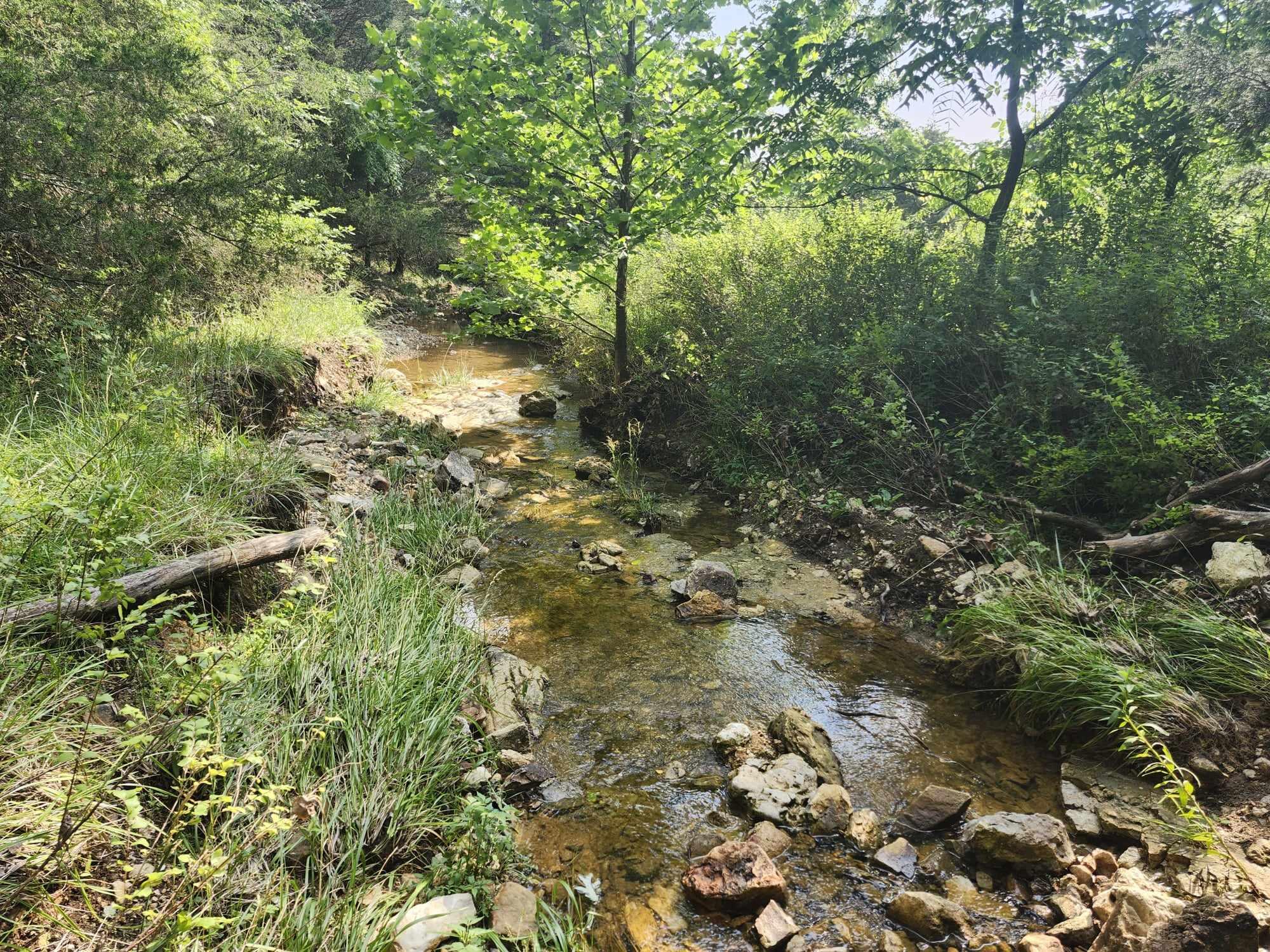 6601 County Line Road Property Photo 10