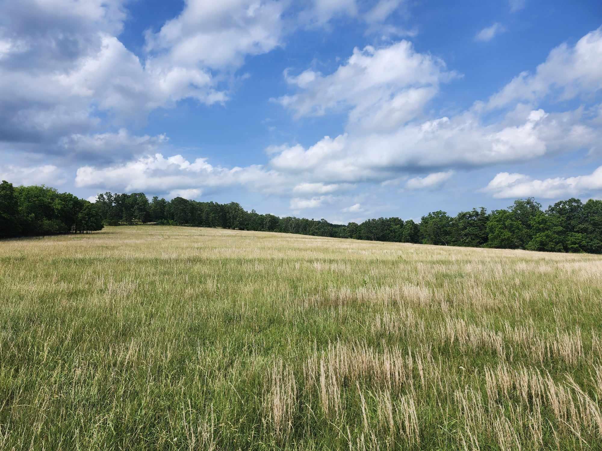 6601 County Line Road Property Photo 16
