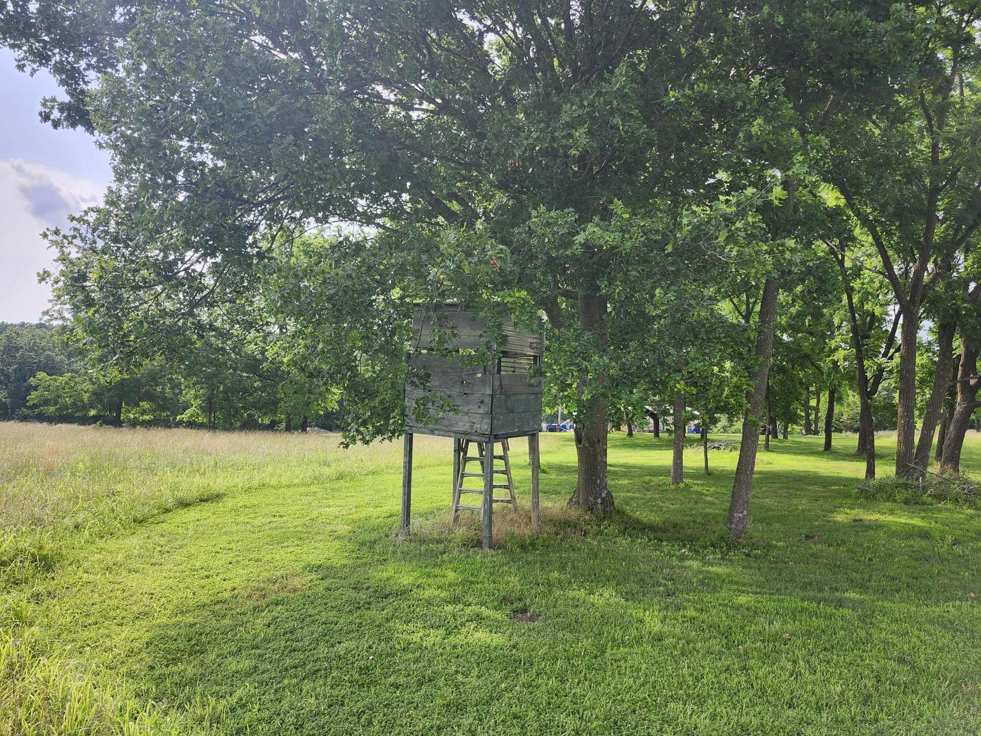 6601 County Line Road Property Photo 32