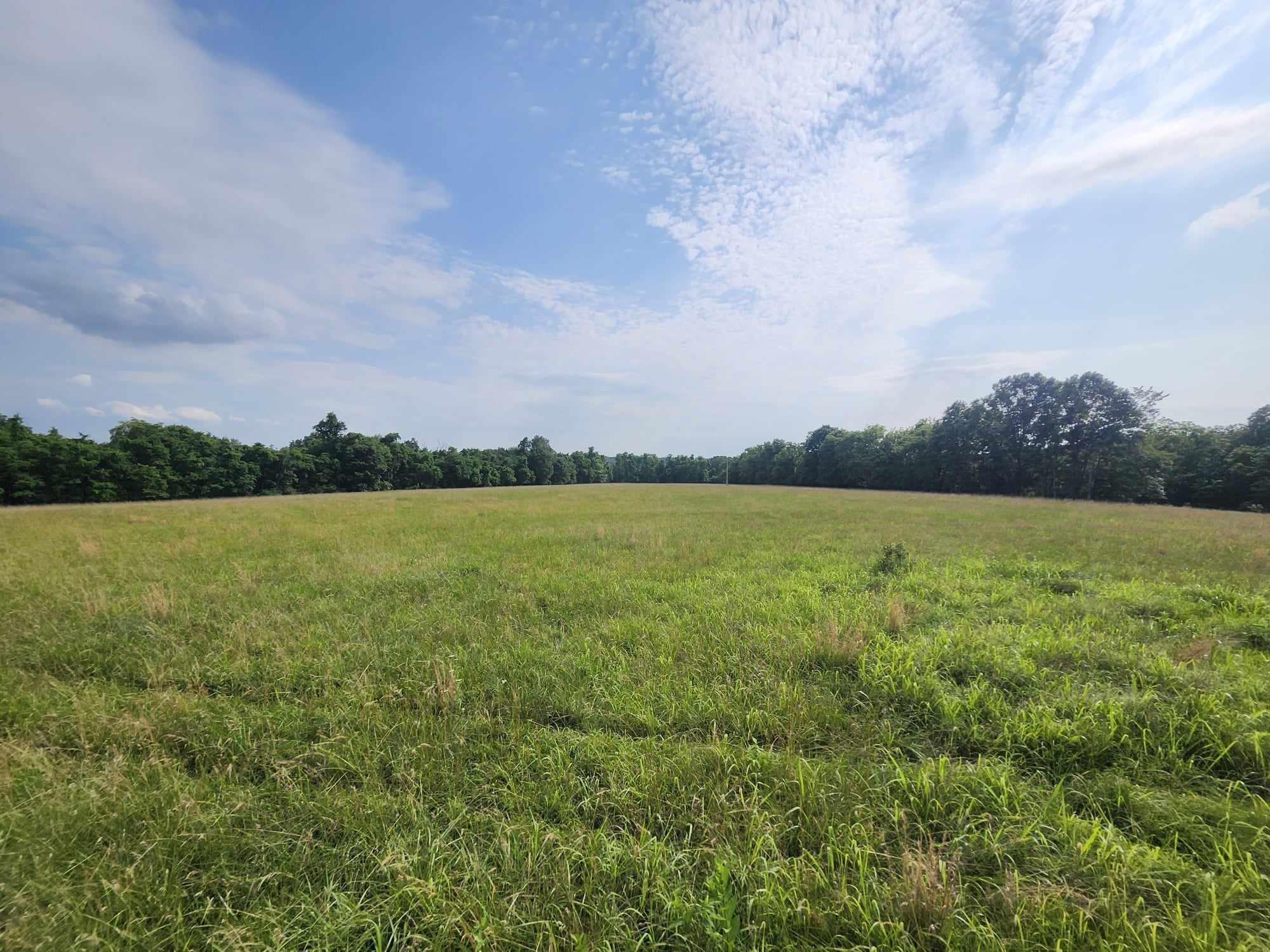 6601 County Line Road Property Photo 33