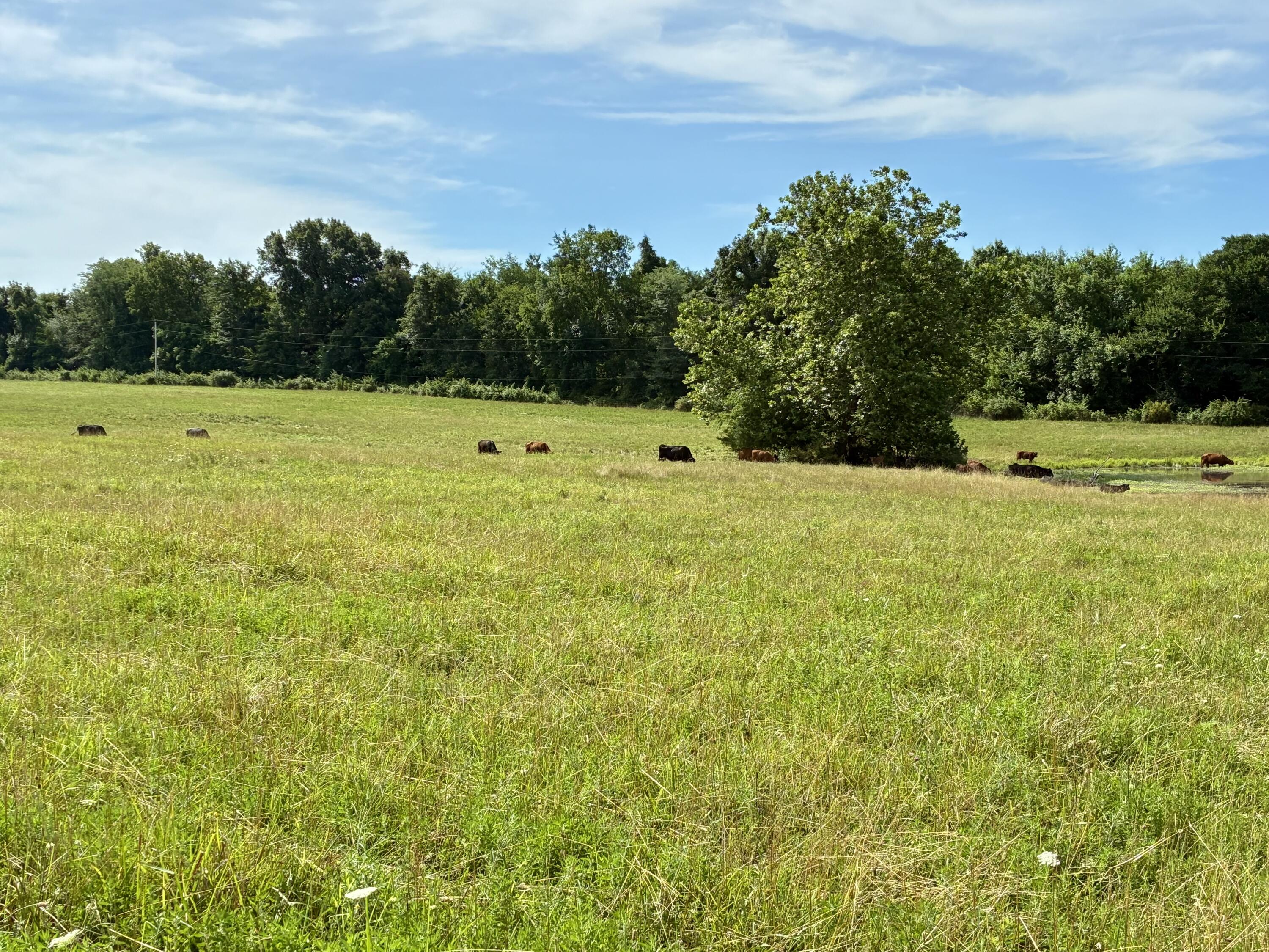 22665 State Highway 83 Property Photo 7