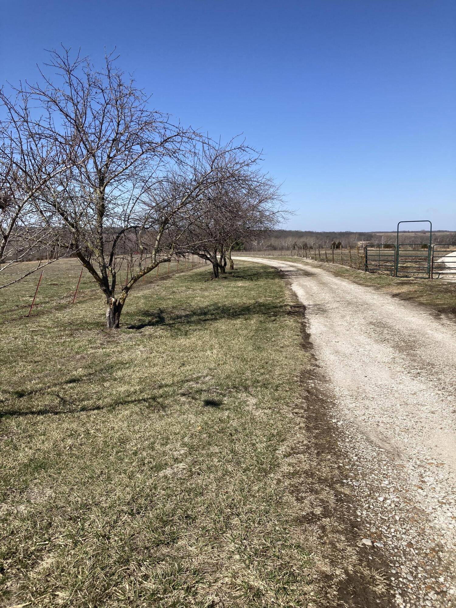 22665 State Highway 83 Property Photo 18
