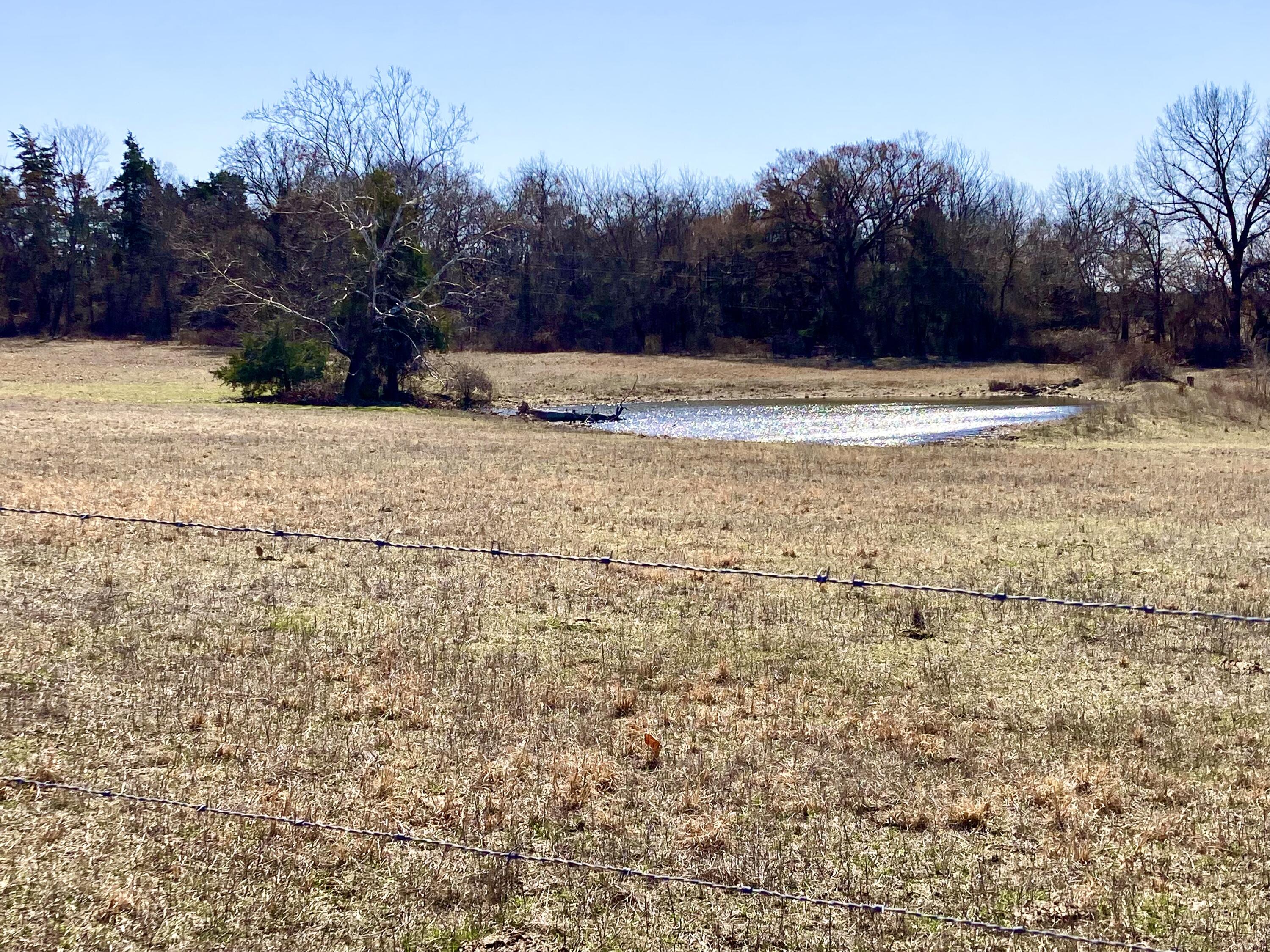 22665 State Highway 83 Property Photo 4