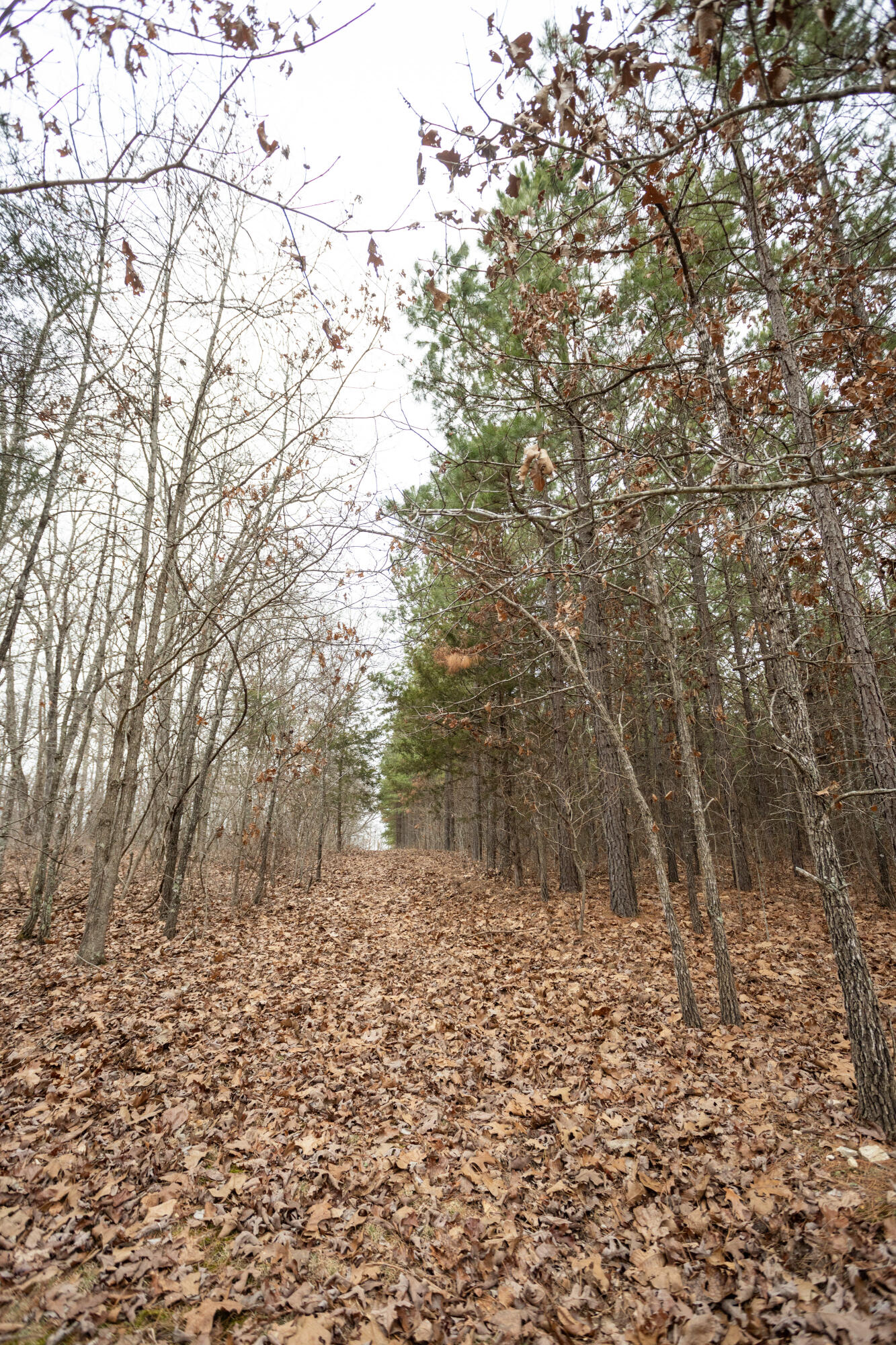 000 U-105a Property Photo 10
