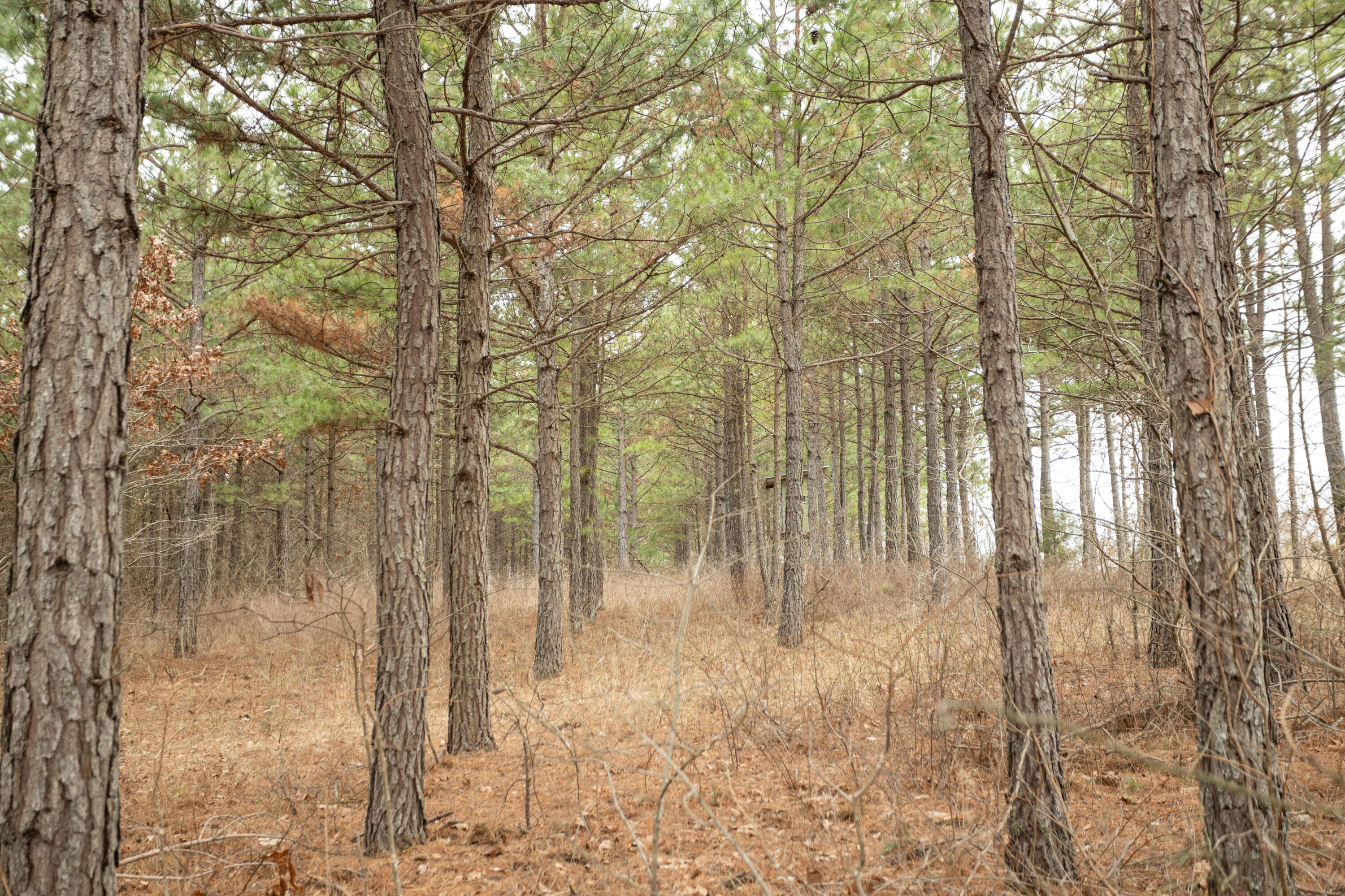 000 U-105a Property Photo 11