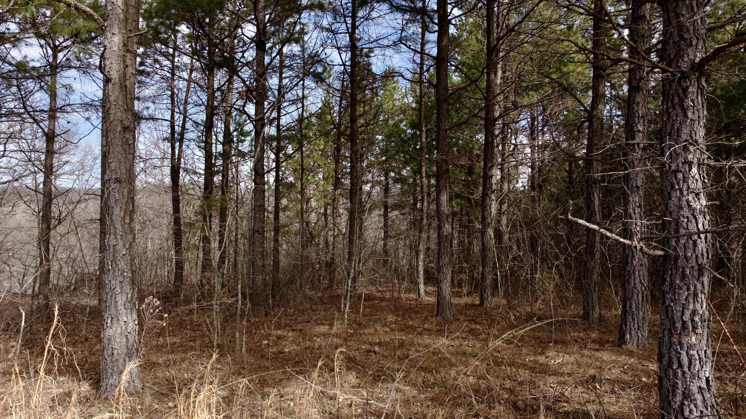 000 U-105a Property Photo 36