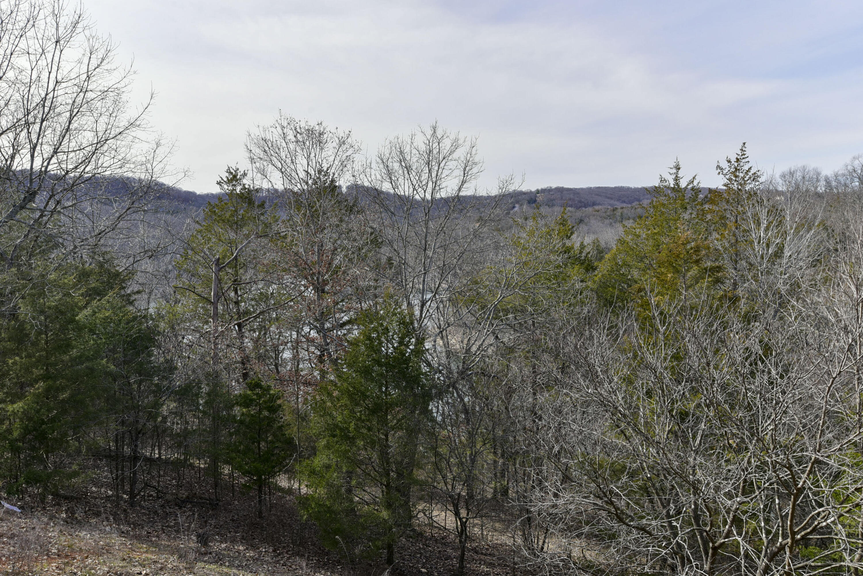 5 Woodpecker Lane Property Photo 3