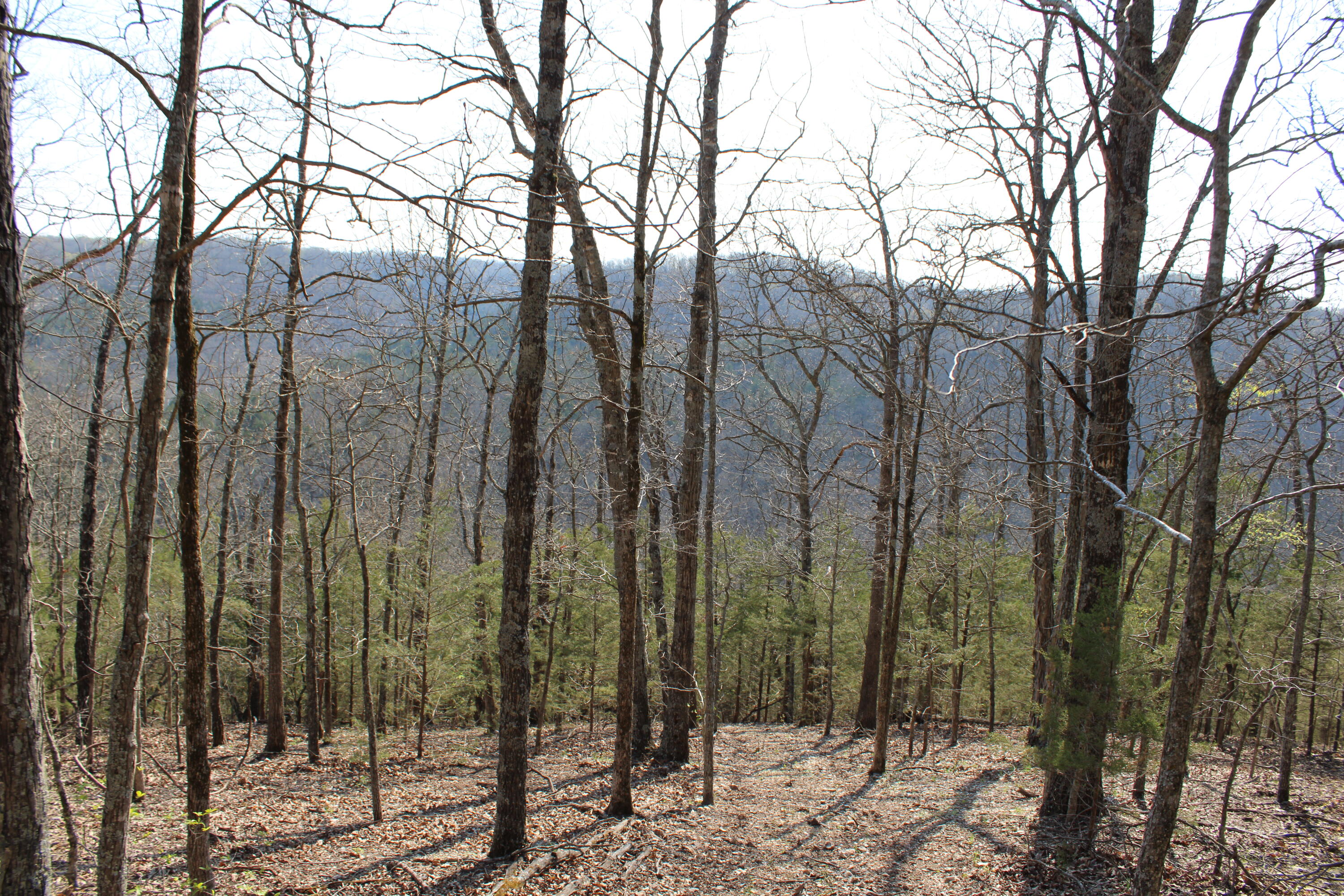 2240 Mease Drive Property Photo 56