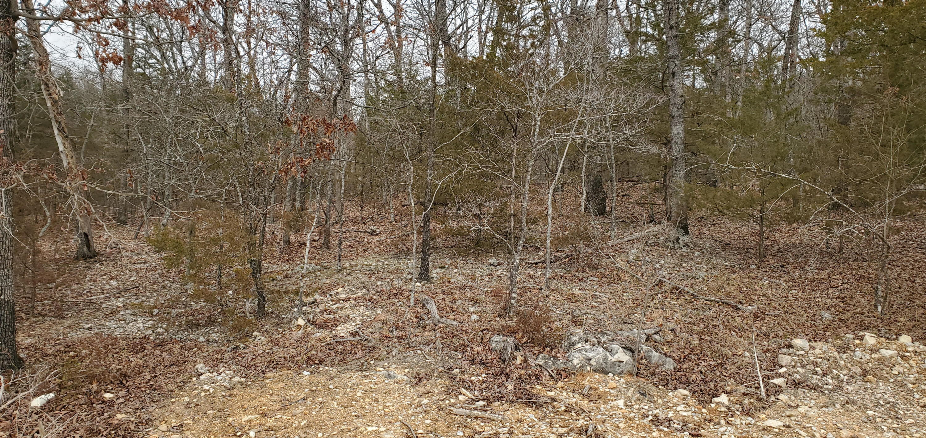 000 Lot 96 Summer Breeze Lane Property Photo 1