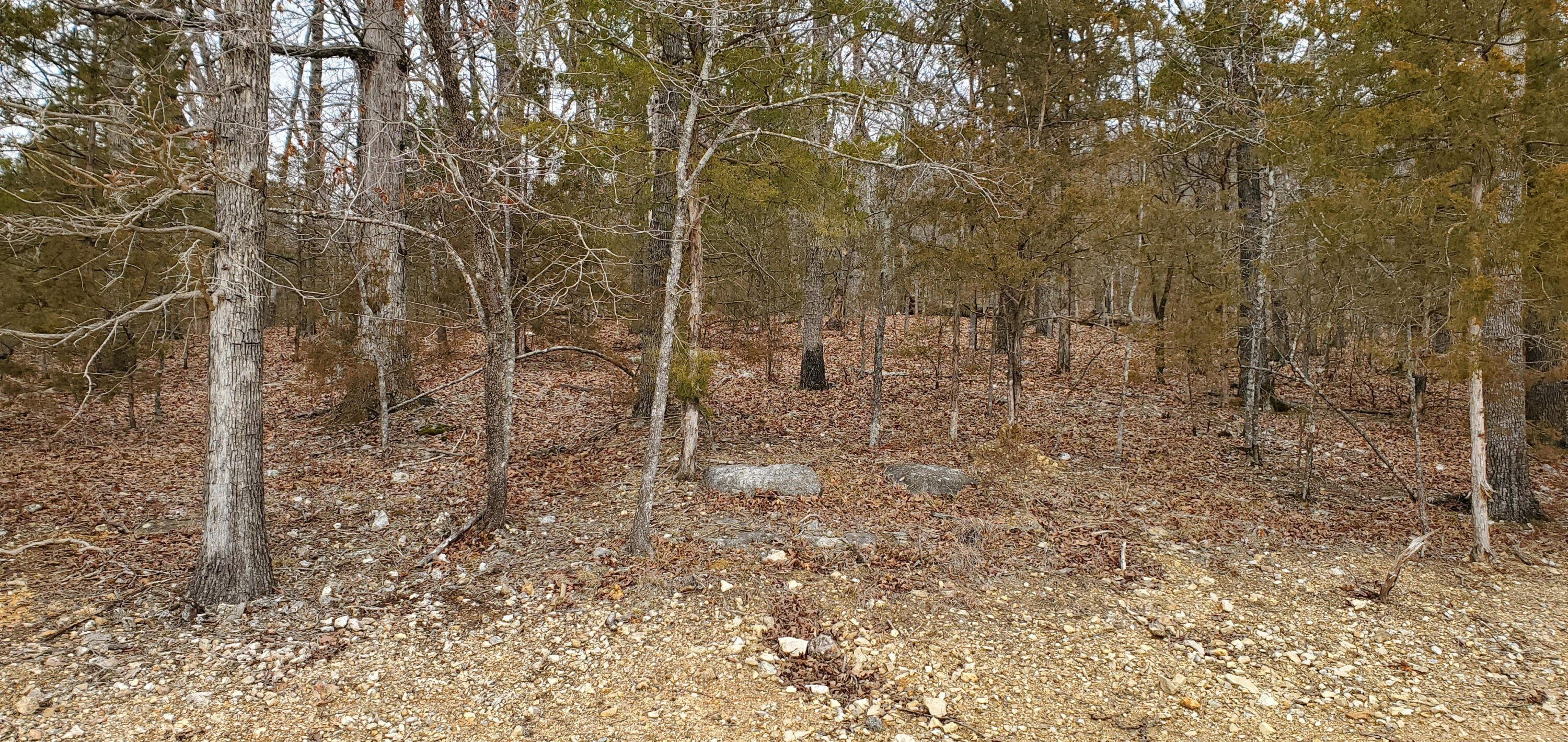 000 Lot 96 Summer Breeze Lane Property Photo 2