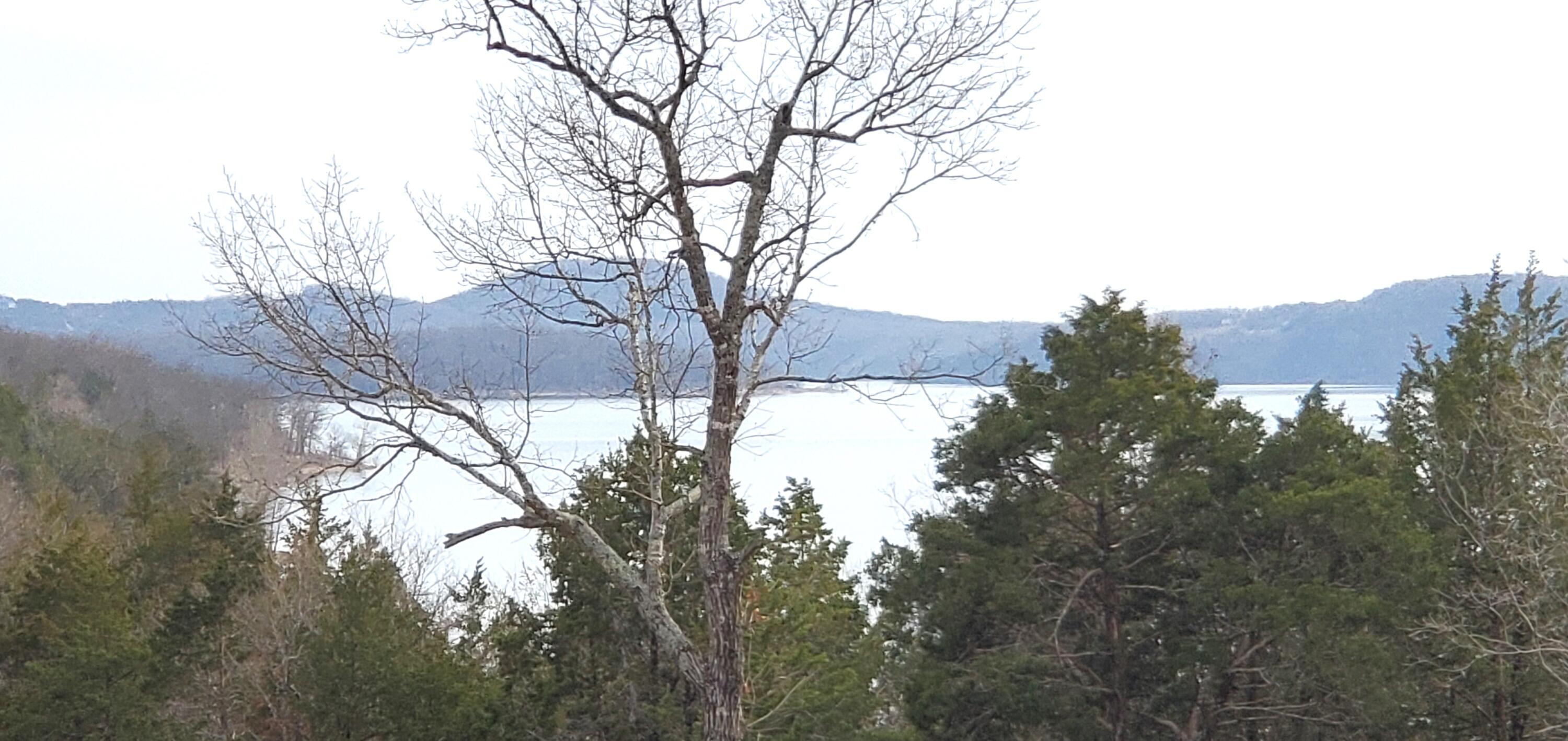 000 Lot 96 Summer Breeze Lane Property Photo 3
