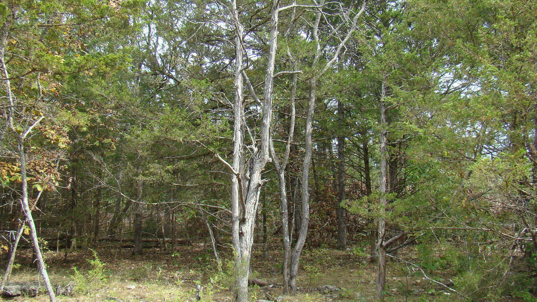 Property Photo 19