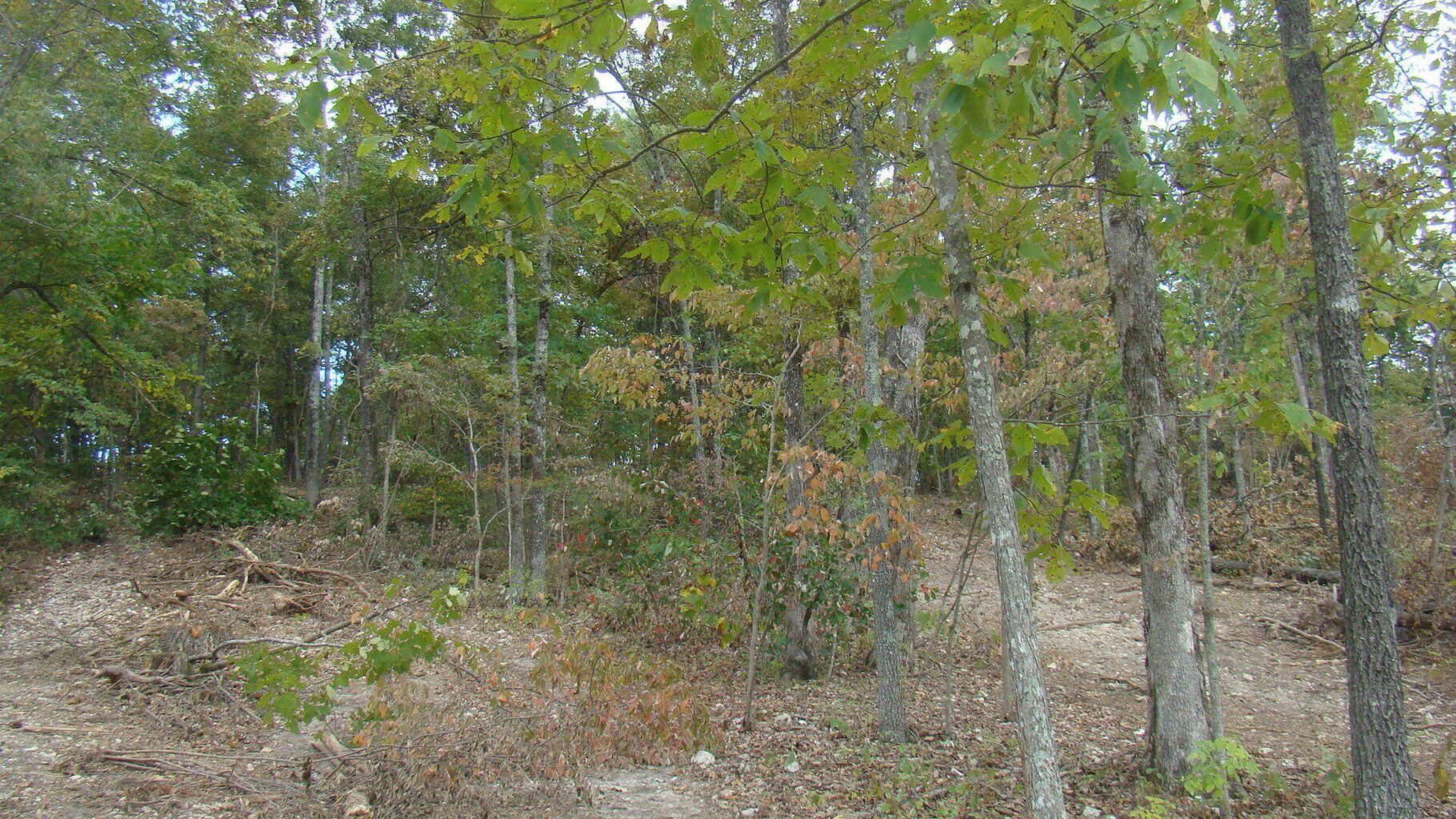 Property Photo 20