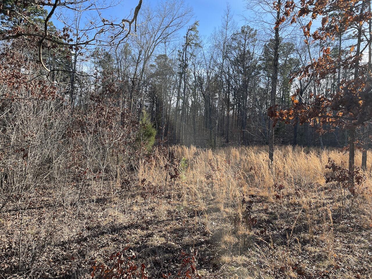 0000 Forest Road 3271 E Property Photo 6