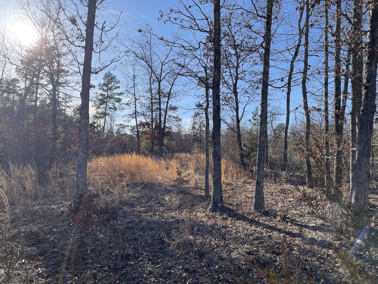 0000 Forest Road 3271 E Property Photo 7