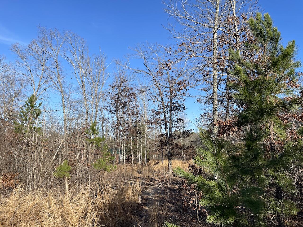 0000 Forest Road 3271 E Property Photo 9