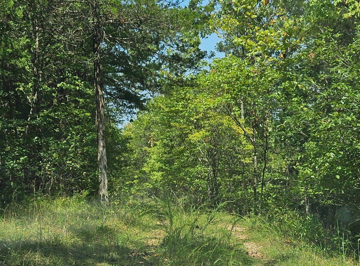 000 Homestead Cedar Hills Property Photo