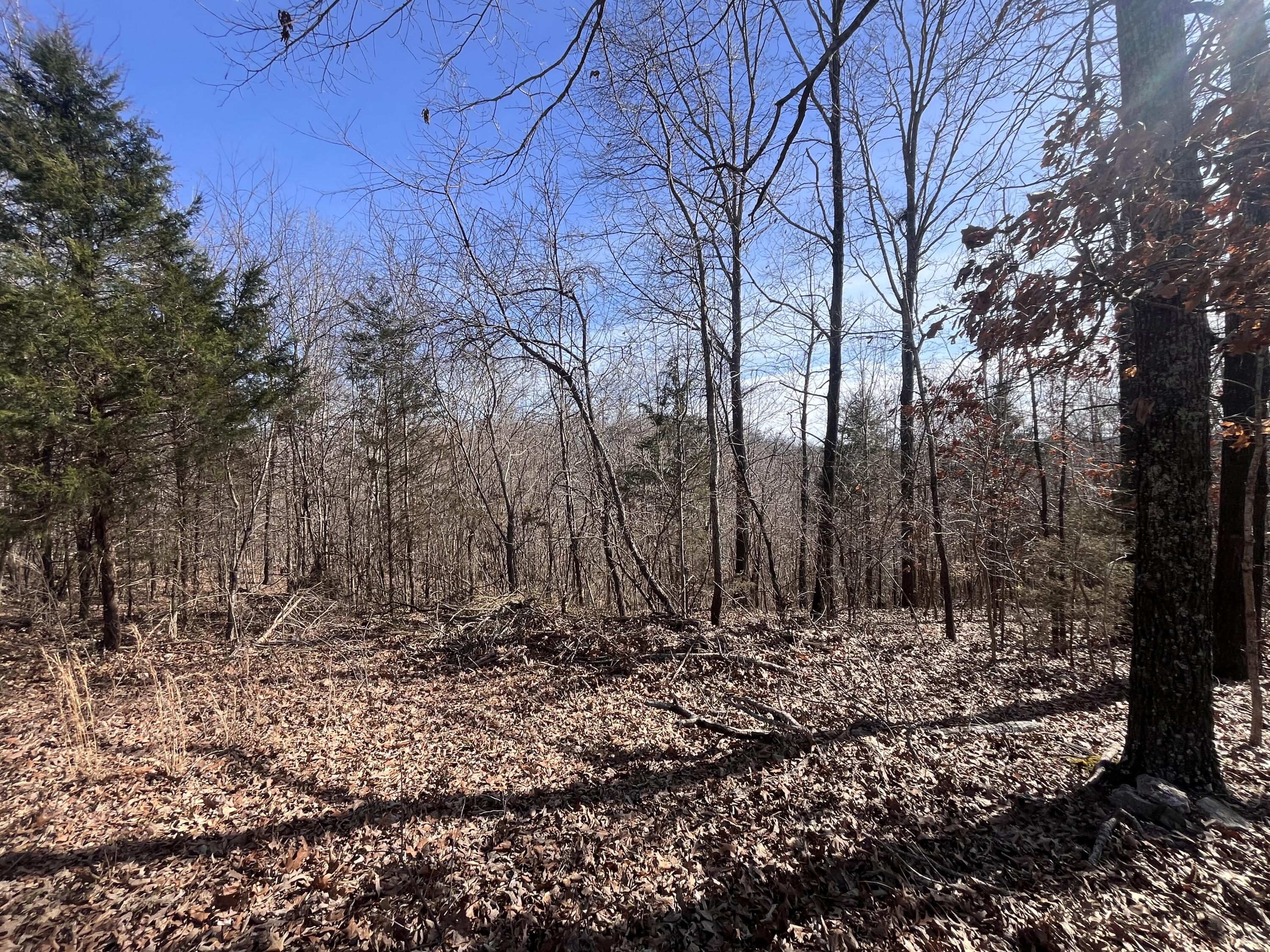 447 Music Hall Lane Property Photo 32