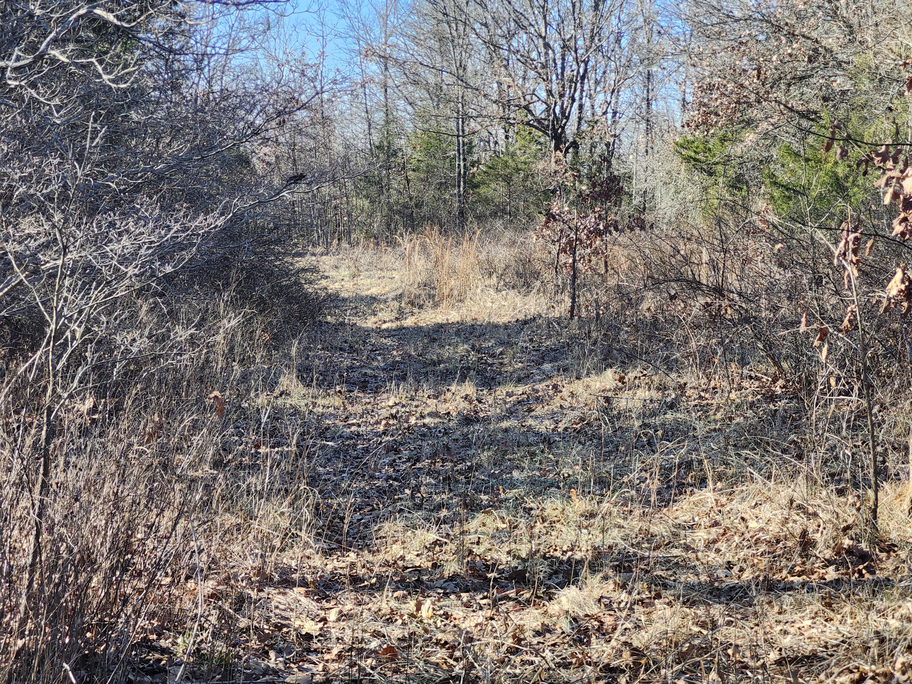 000 Tbd H Higway Property Photo 2