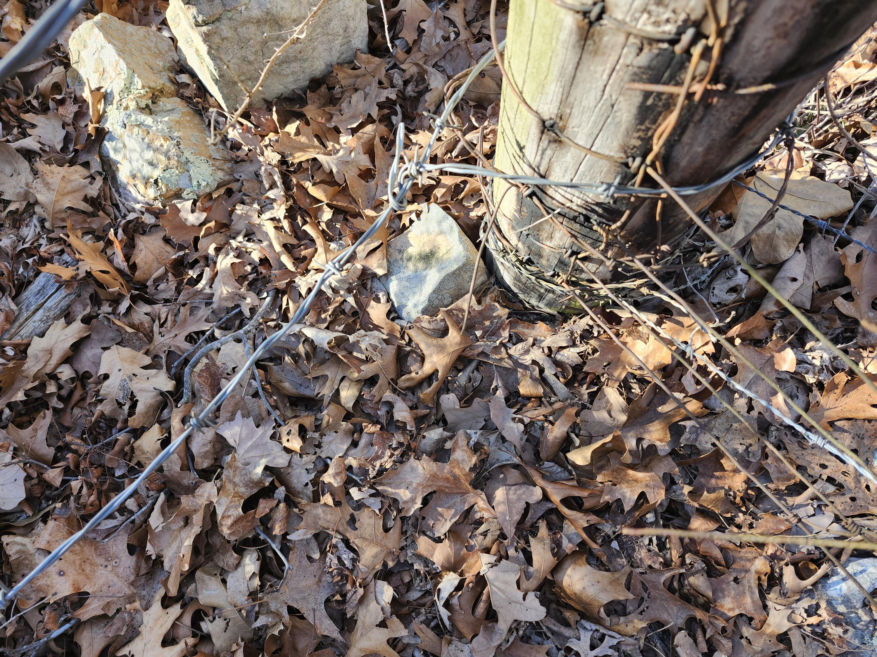 000 Tbd H Higway Property Photo 4
