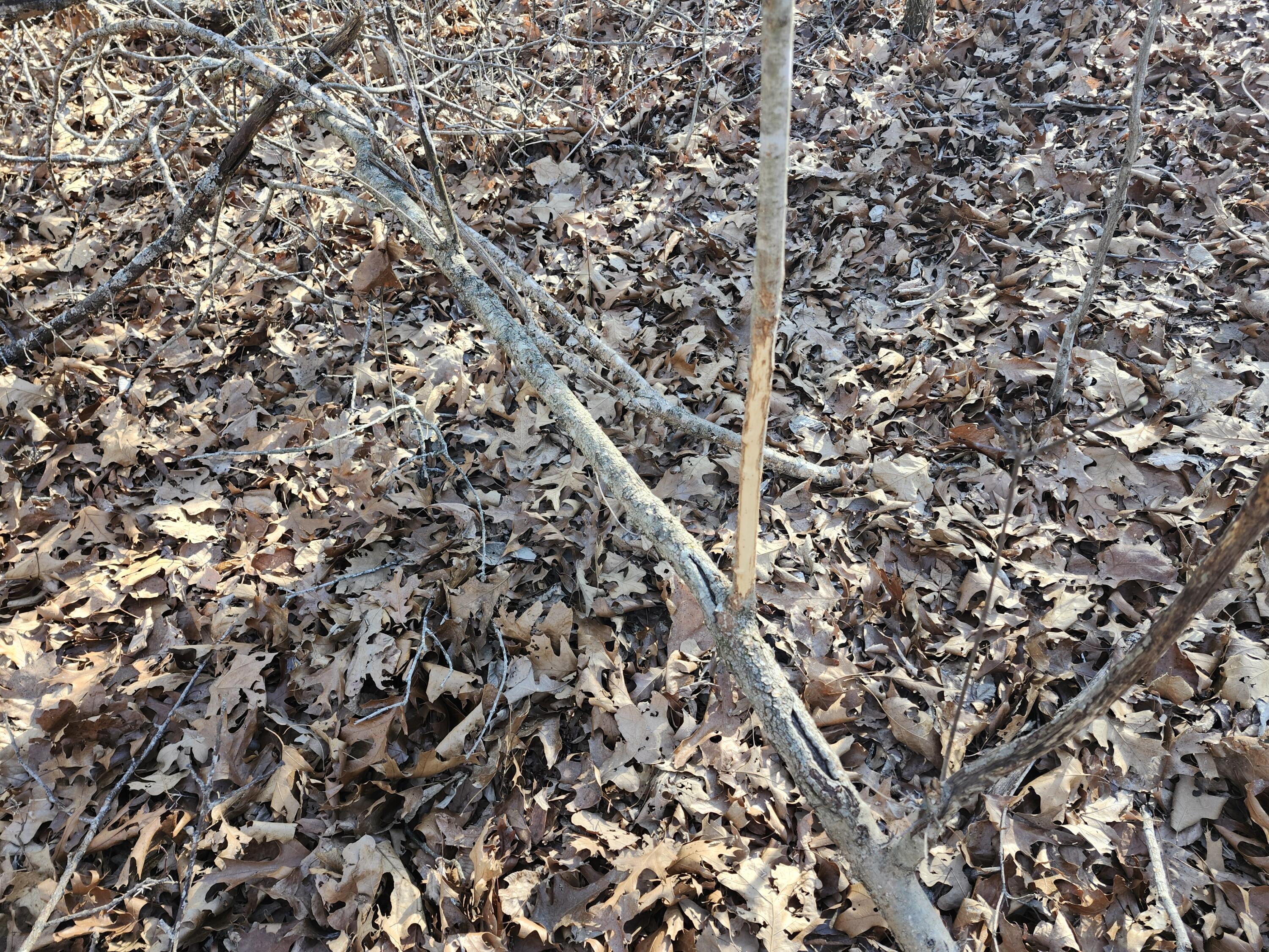 000 Tbd H Higway Property Photo 7