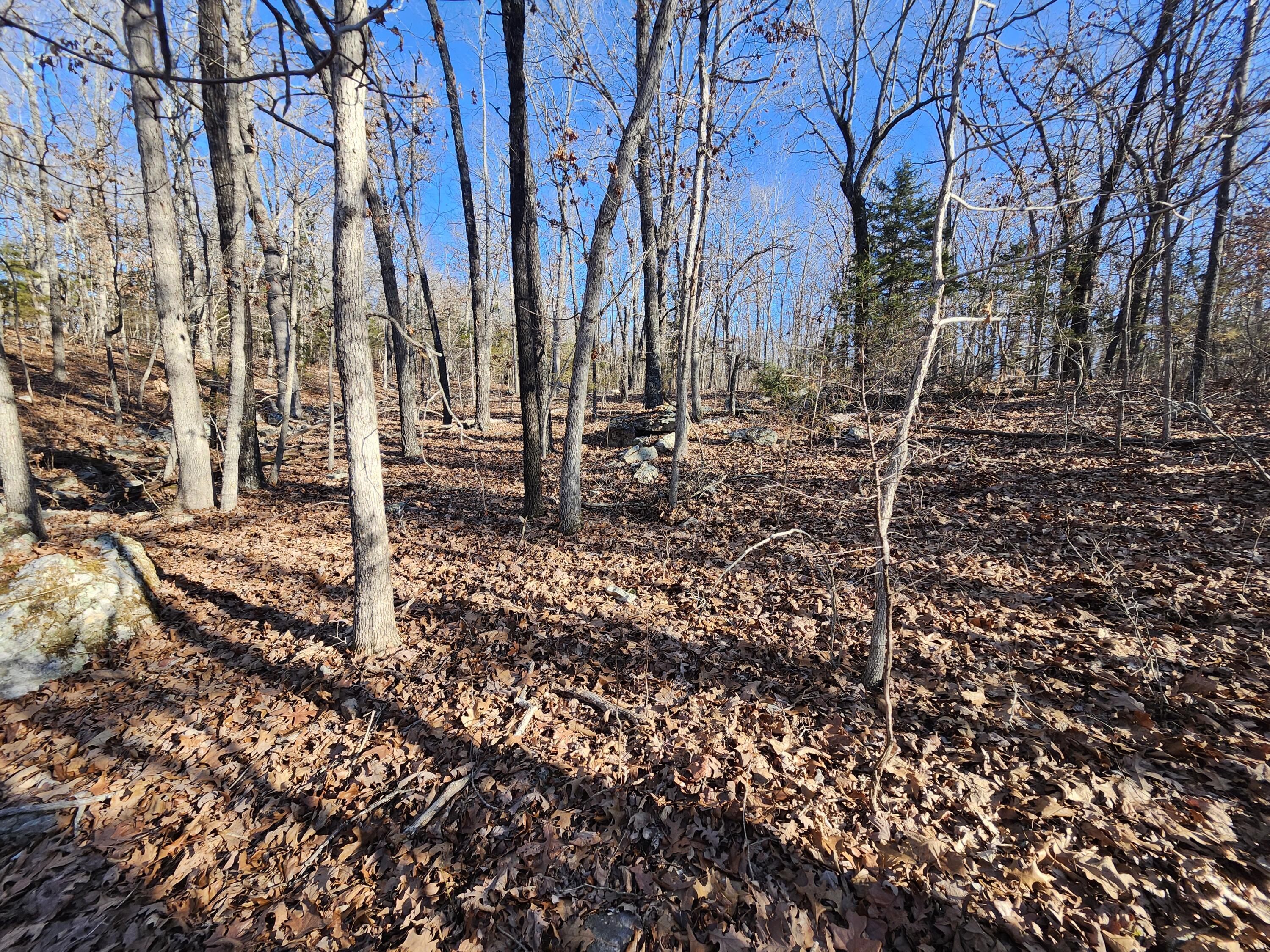 000 Tbd H Higway Property Photo 12