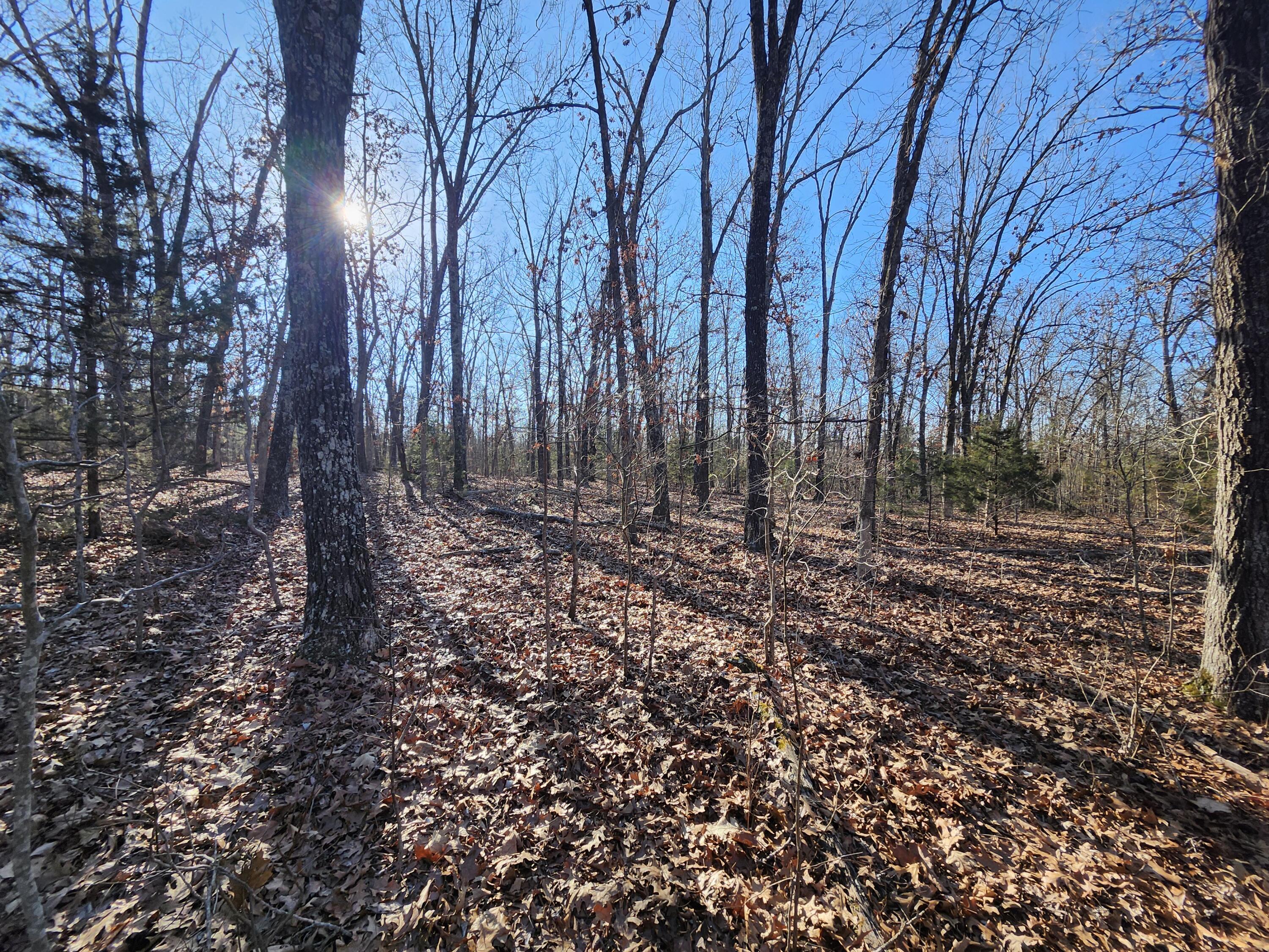 000 Tbd H Higway Property Photo 14