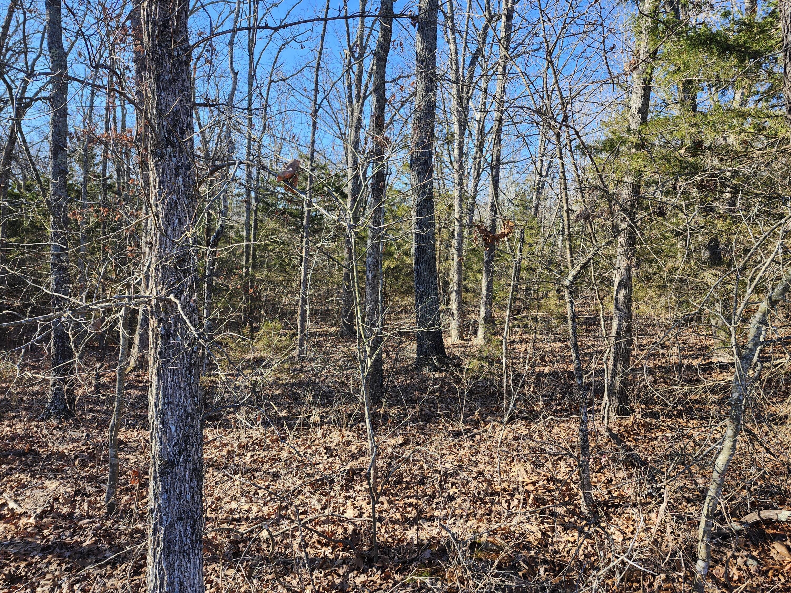 000 Tbd H Higway Property Photo 17