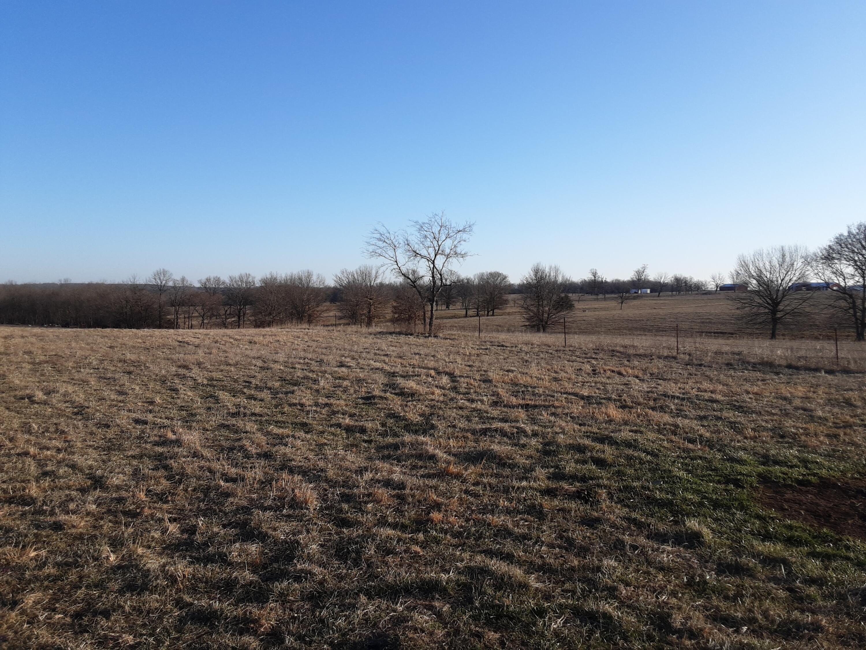 0001 East Highway Z Property Photo 8