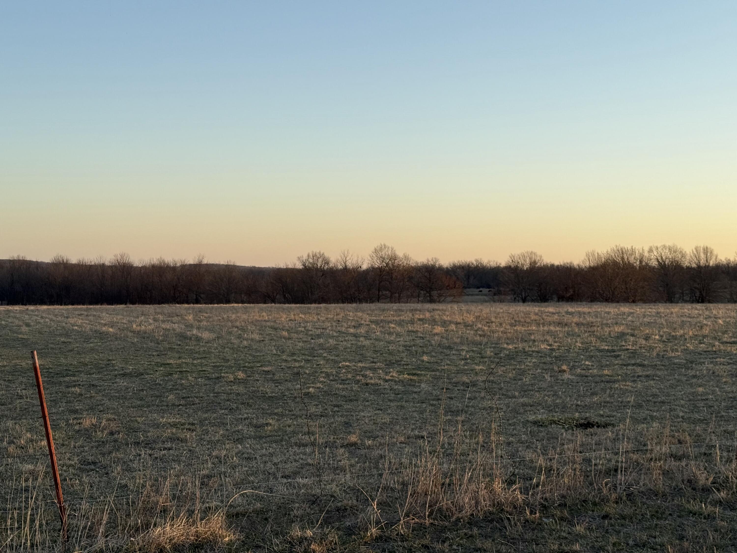 0001 East Highway Z Property Photo 9