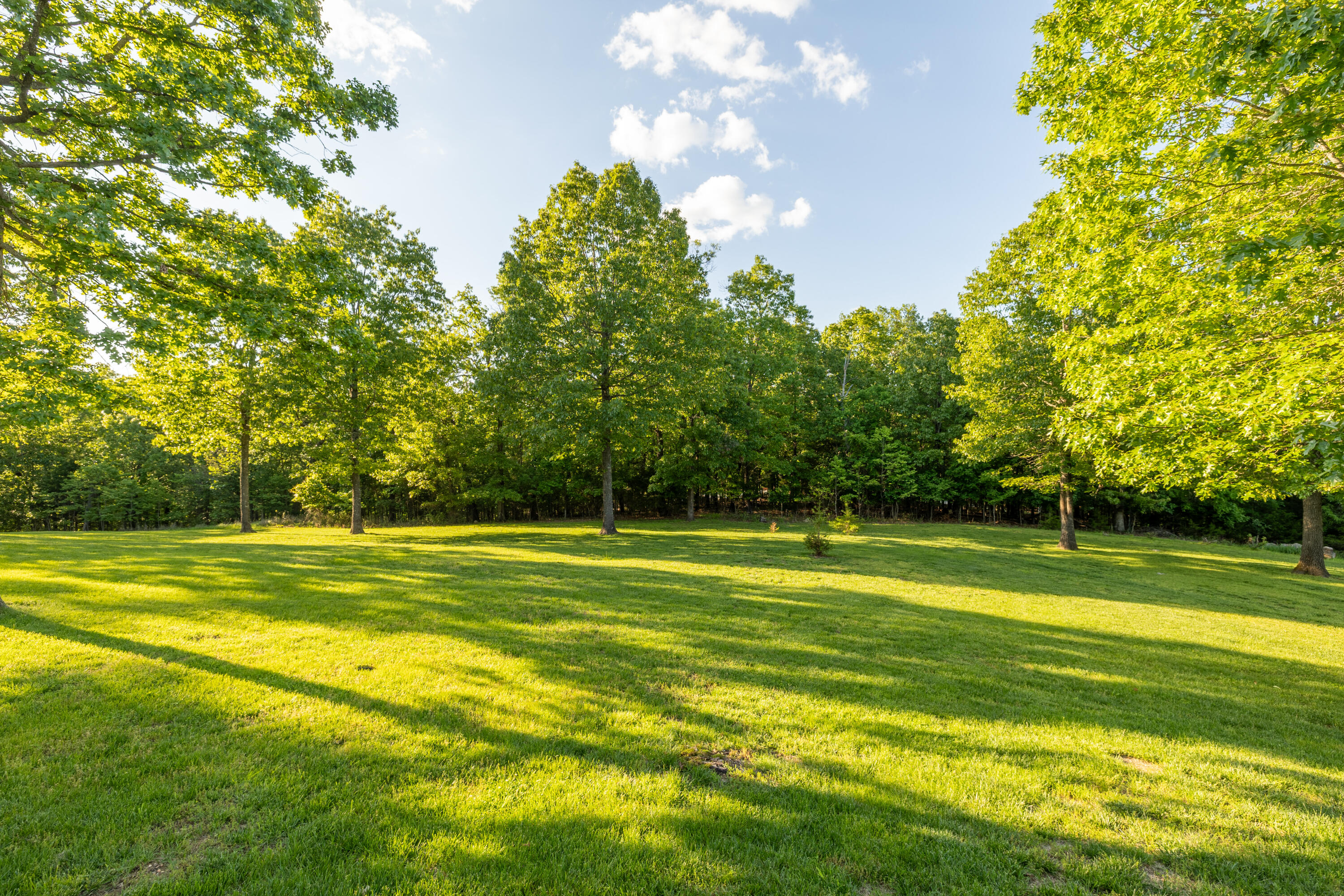 39 Whispering Hill Drive Property Photo 11