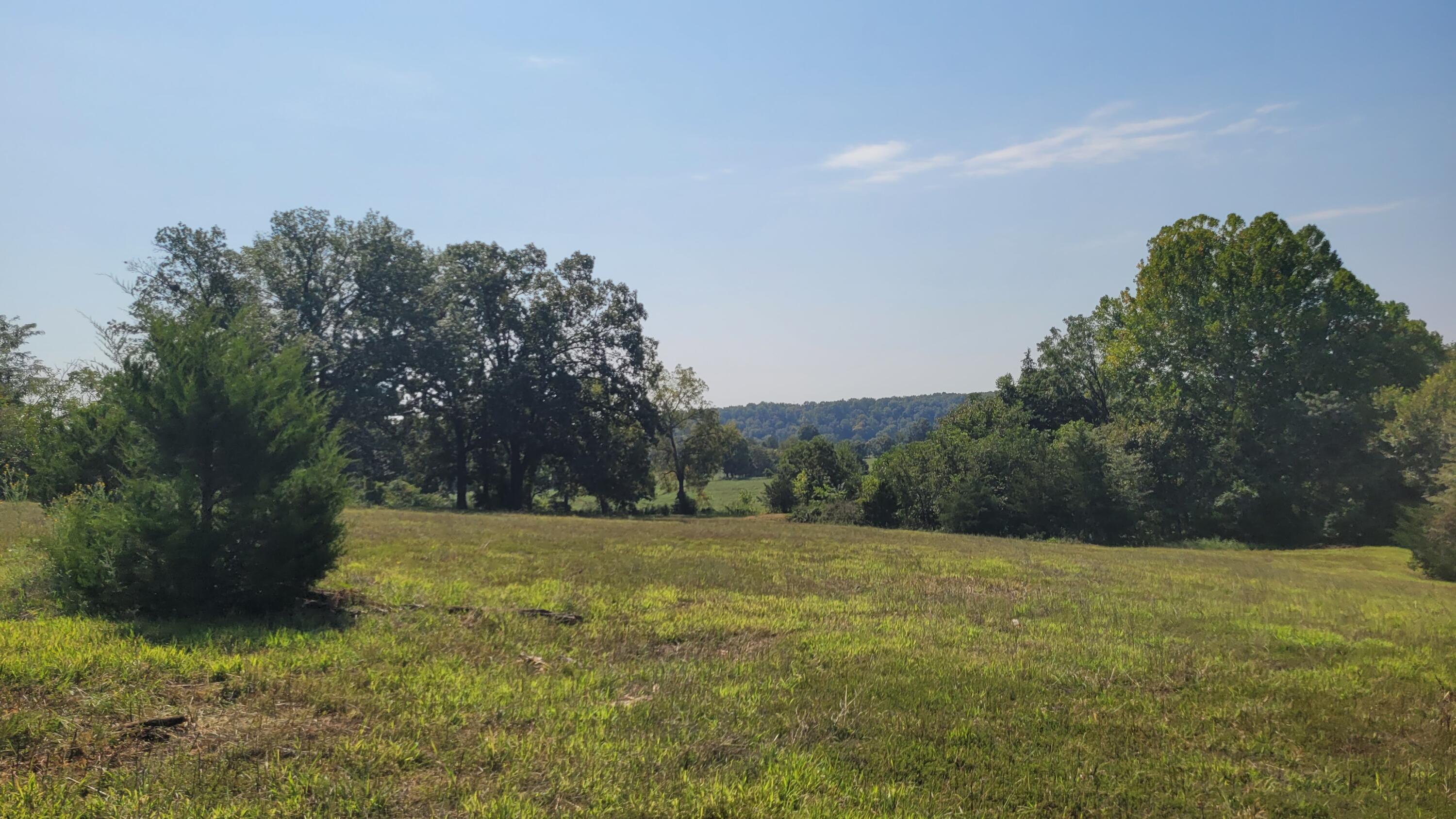 118 Indian Creek Loop Property Photo 5