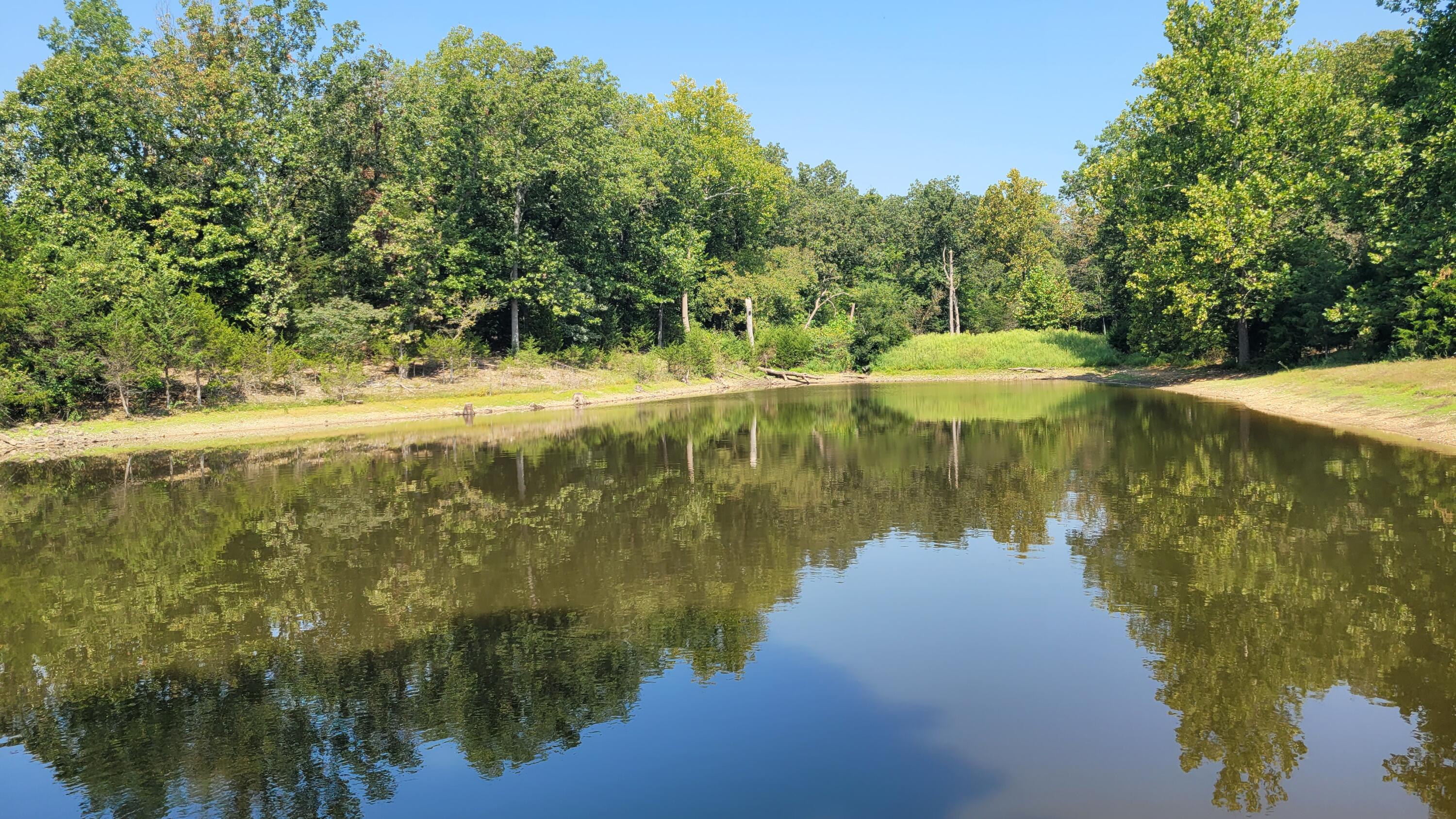 118 Indian Creek Loop Property Photo 6