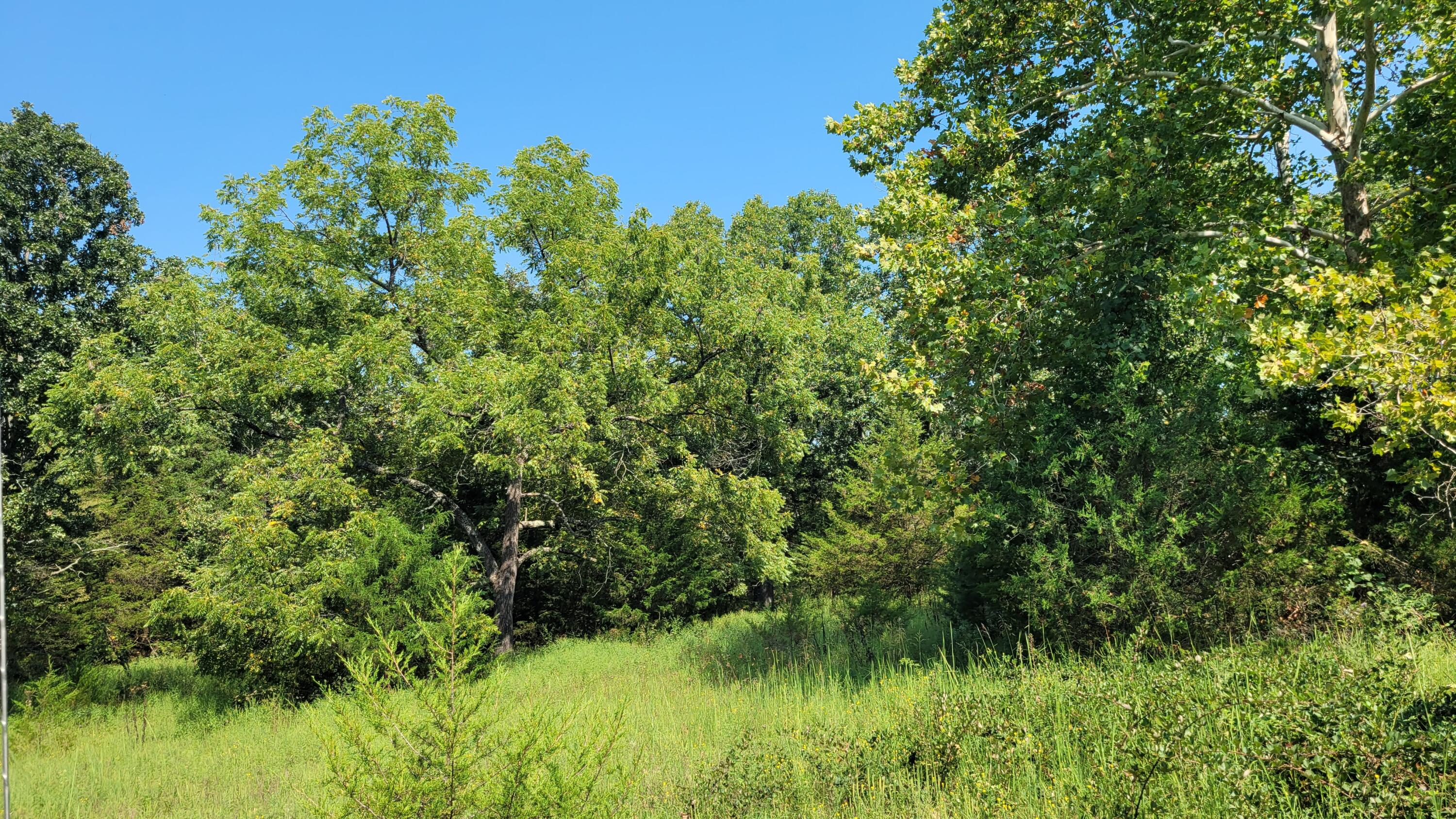 118 Indian Creek Loop Property Photo 7