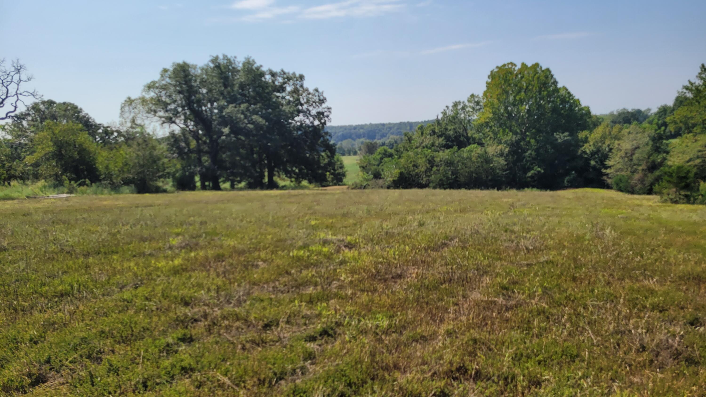 118 Indian Creek Loop Property Photo 8