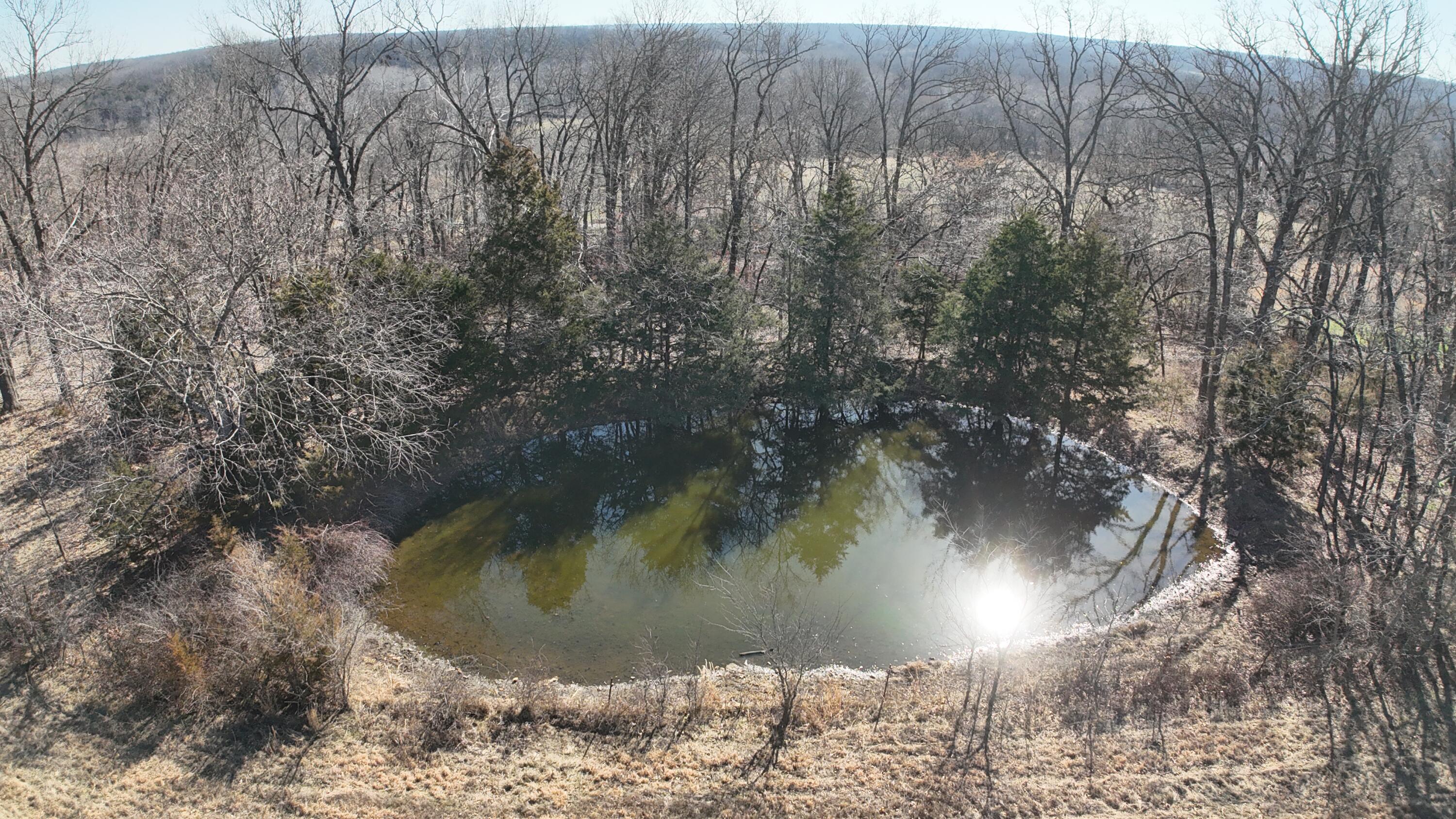 118 Indian Creek Loop Property Photo 22