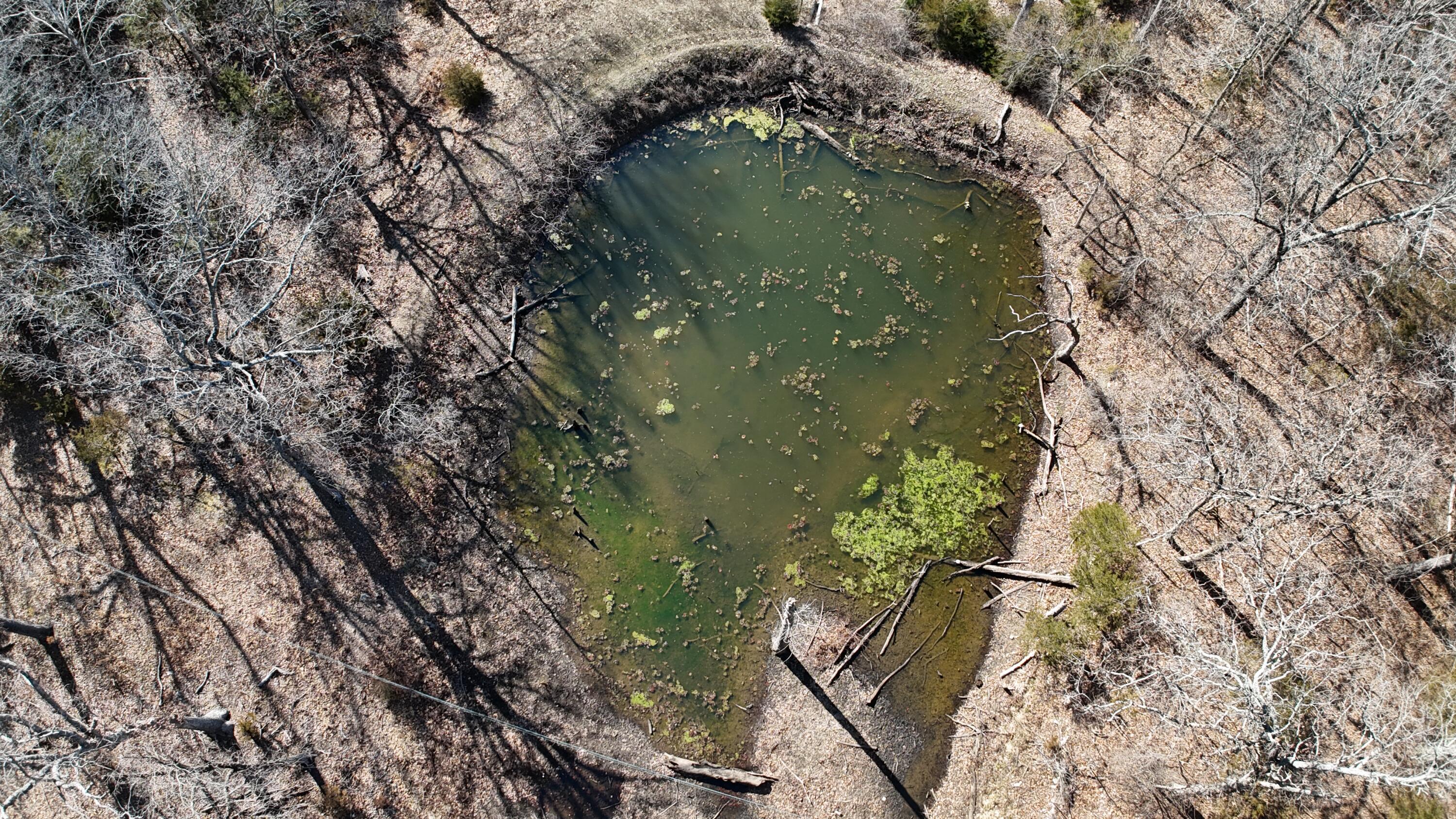 118 Indian Creek Loop Property Photo 28