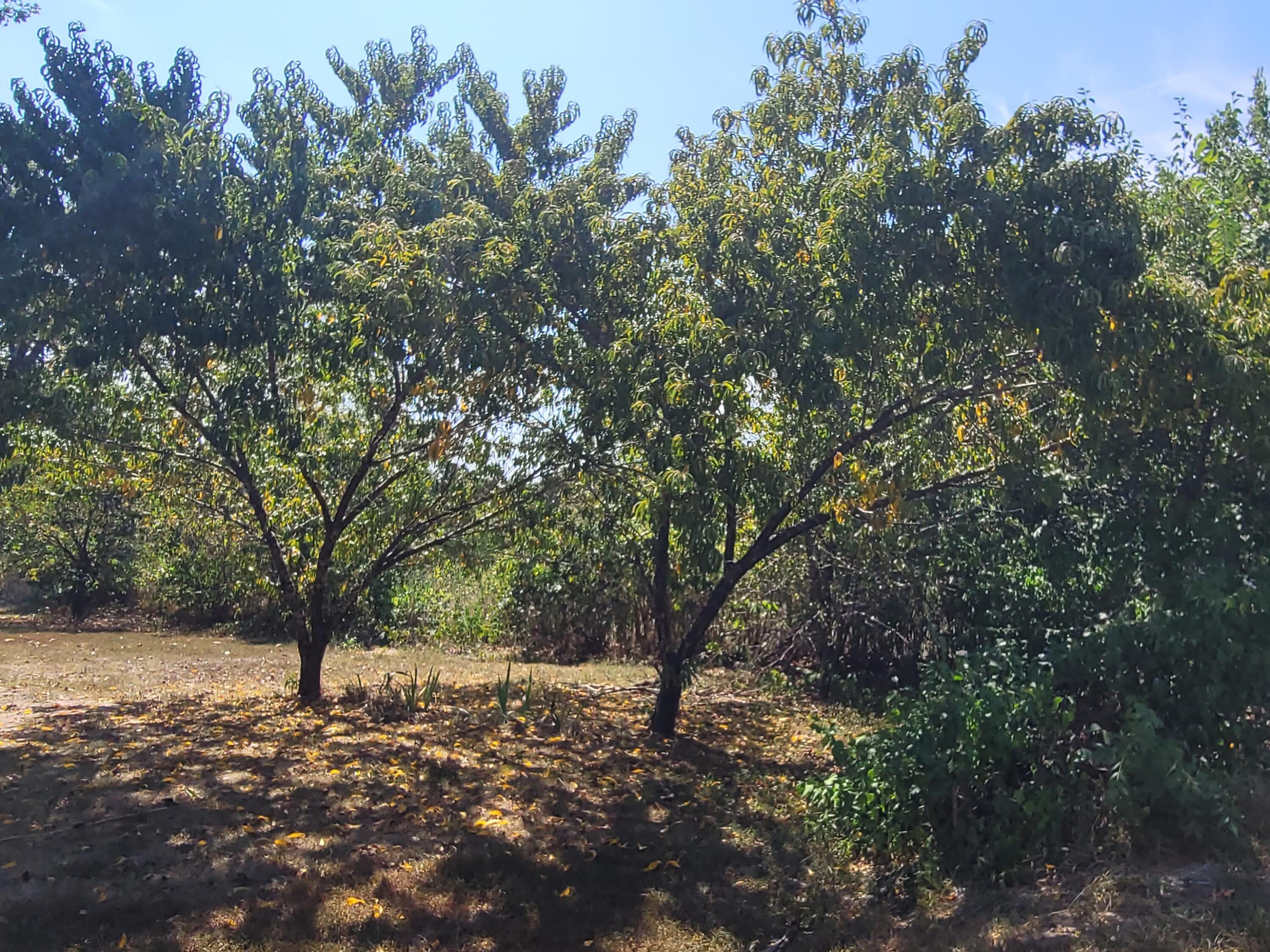 118 Indian Creek Loop Property Photo 43