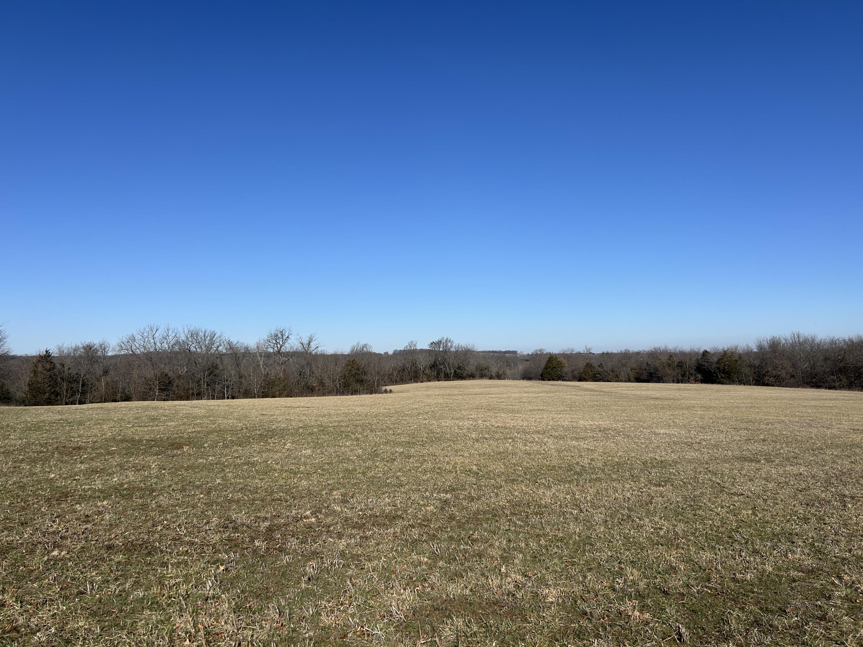 Polk Not In List Real Estate Listings Main Image